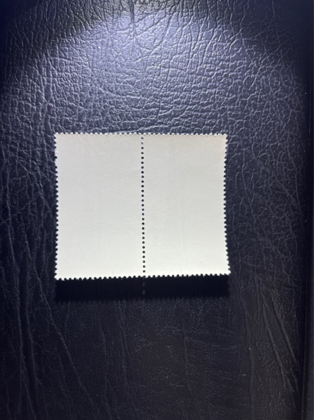 洪涛臻品 精选邮票限时拍卖第六十二期 特67石油 5-2盖销 2连，中间戳， 版撕全品嘎嘎绝，非常漂亮。解放初的经典票，整版撕开，面艳胶白，票挺洁净，齿孔完美，收藏评级两相宜。老纪特的版票资源十分稀缺难寻，机会来临时必须抓住。
