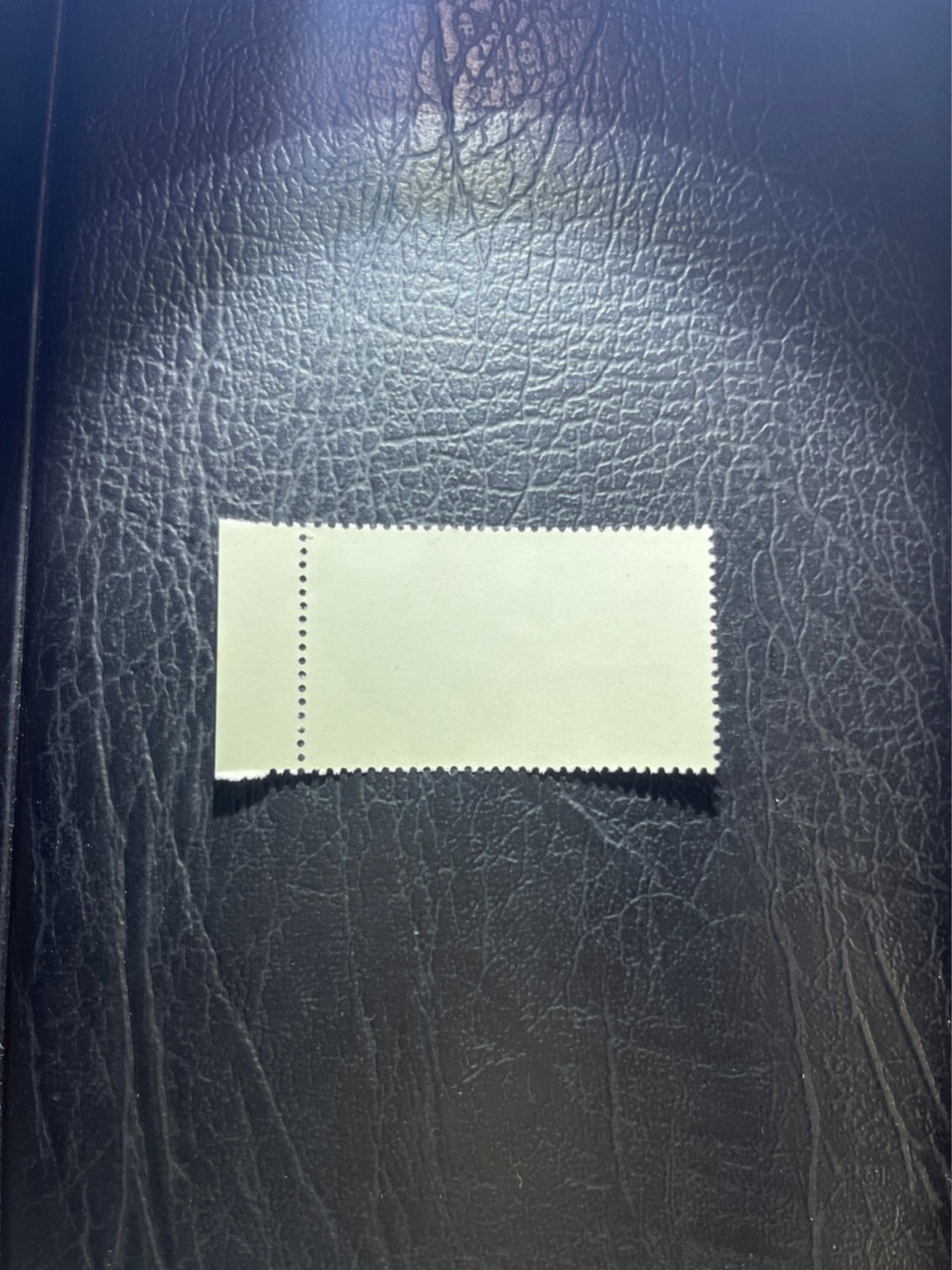 洪涛臻品 精选邮票限时拍卖第五十二期 热门品种，特74解放军  盖销  厂名一组，浅戳，老纪特三俗稀缺，经典热门票，版撕全品嘎嘎绝，面艳胶白，撕口新，适合收藏，喜欢不要错过，全品可评级《ASG评级处于初级阶段，趁便宜囤精品版撕票，后市不可估量》