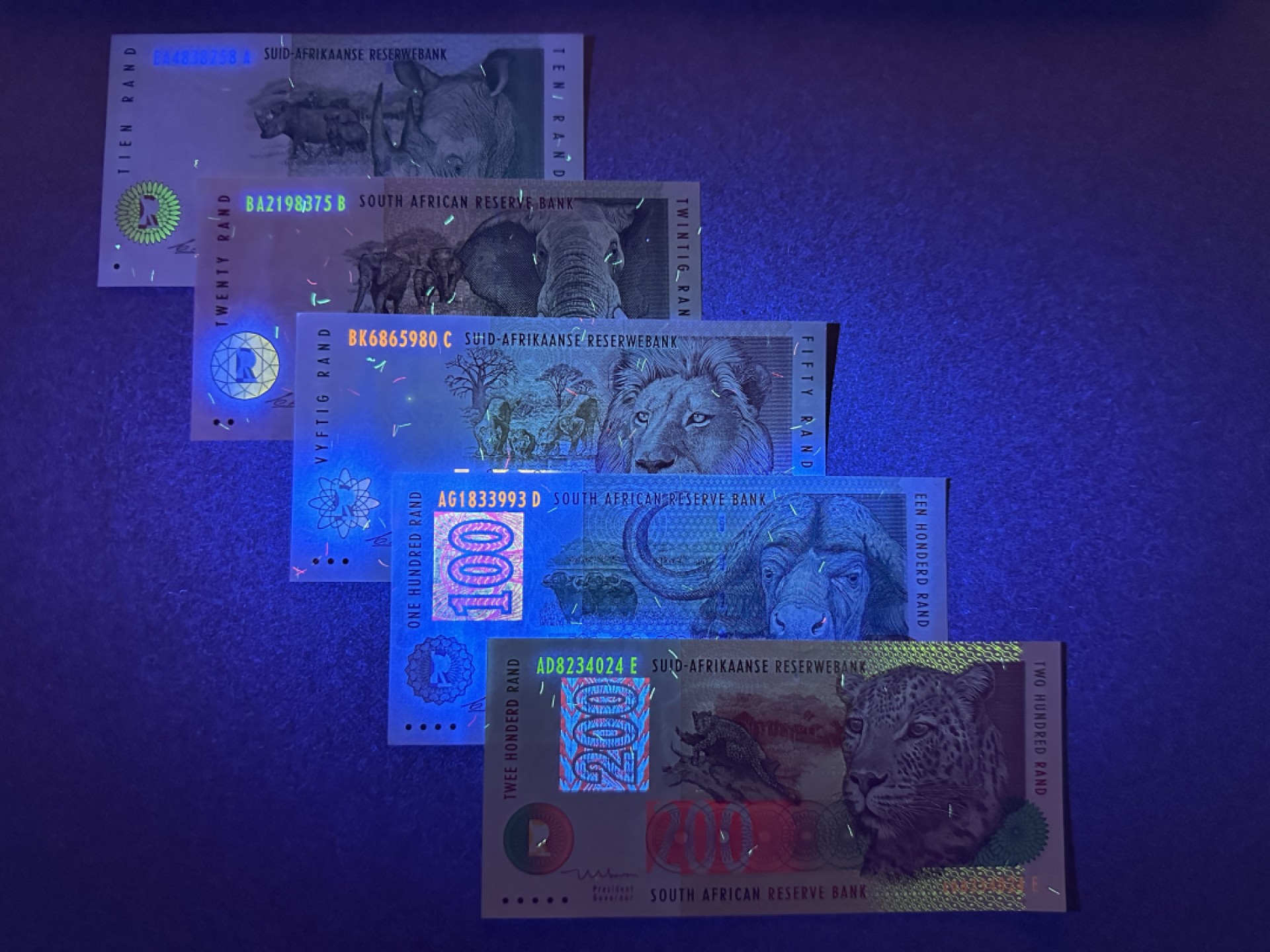 《张总收藏》76期——外币大拍 南非10-200兰特5张 UNC 1999年动物版大全套