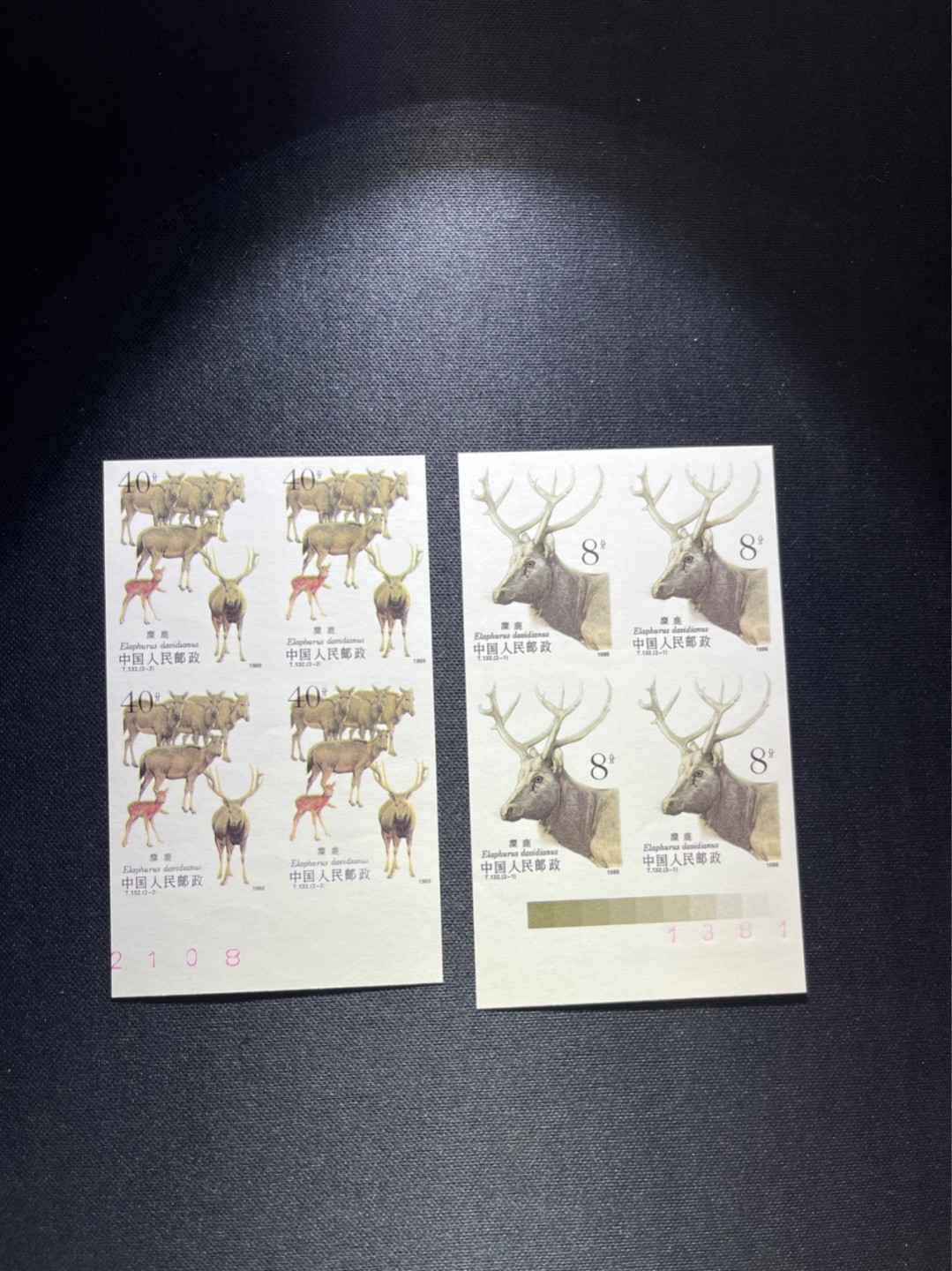 洪涛臻品 精选邮票限时拍卖第四十九期 T132无齿麋鹿新全   数字➕色标  四方连一组  精品版货  精工细裁 ，四角白尖， 收藏级品相  面艳背白，全程带硅胶手套操作，品相完美无瑕疵，喜欢的老板不要错过