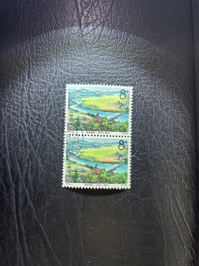 洪涛臻品 精选邮票限时拍卖第六十六期 - 特73井冈山盖销  8-4 竖2连一组，版撕全品嘎嘎绝，1965年发行，✦完美品相✦解放初的经典票，整版撕开，面艳胶白，票挺洁净，齿孔完美，收藏评级两相宜，且有高附加值边纸。老纪特的版票资源十分稀缺难寻，机会来临时必须抓住。《ASG评级处于初级阶段，趁便宜囤精品版撕票，后市不可估量》