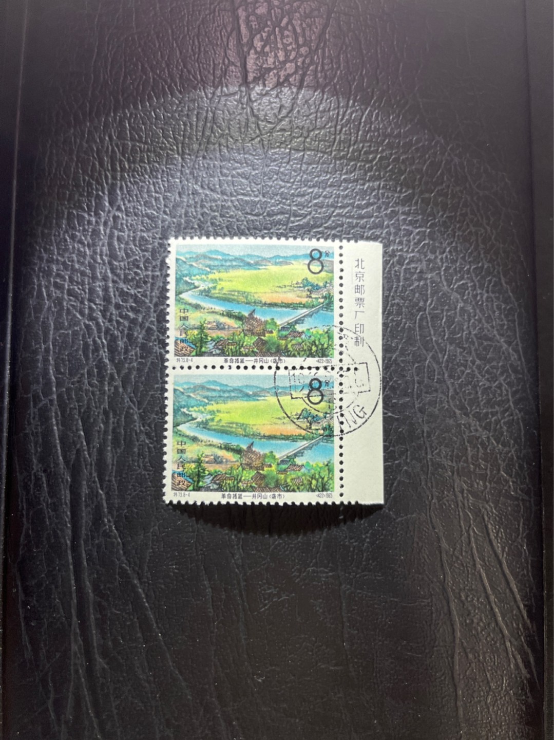 洪涛臻品 精选邮票限时拍卖第五十期 特73井冈山盖销  8-4  厂名，全戳，竖2连一组，版撕全品嘎嘎绝，三俗稀缺1965年发行，✦完美品相✦解放初的经典票，整版撕开，面艳胶白，票挺洁净，齿孔完美，收藏评级两相宜，且有高附加值边纸。老纪特的版票资源十分稀缺难寻，机会来临时必须抓住。《ASG评级处于初级阶段，趁便宜囤精品版撕票，后市不可估量》