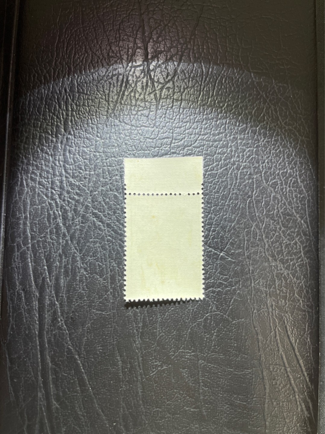 洪涛臻品 精选邮票限时拍卖第五十期 特63青铜器8-3盖销 厂名✦总筋✦背面轻微胶色不均匀，胶不均，上上品，老纪特三俗稀缺，ASG95分新票拍卖价8000多元，解放初的经典票，整版撕开，票挺洁净，齿孔完美，收藏评级两相宜，老纪特的版票资源十分稀缺难寻，机会来临时必须抓住。