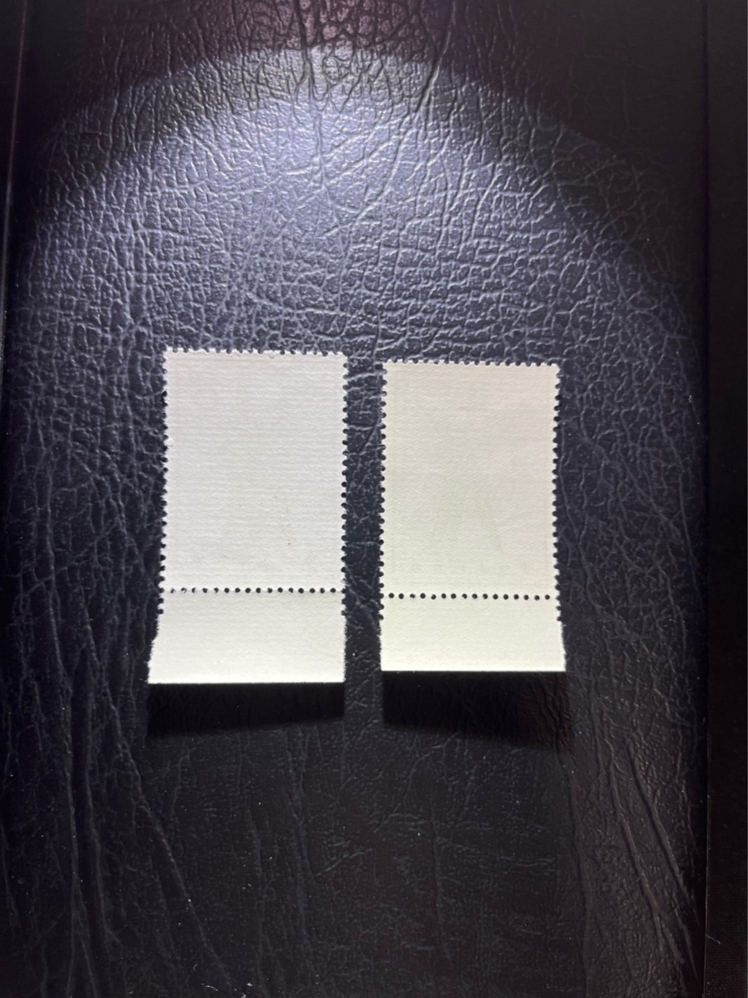 洪涛臻品 精选邮票限时拍卖第五十期 特63青铜器8-1  8-4盖销  2枚一组，顺戳，版撕全品嘎嘎绝，  解放初的经典票，整版撕开，面艳胶白，票挺洁净，齿孔完美，收藏评级两相宜，且有高附加值边纸。老纪特的版票资源十分稀缺难寻，机会来临时必须抓住(图3赵涌近期上品成交价做参考)