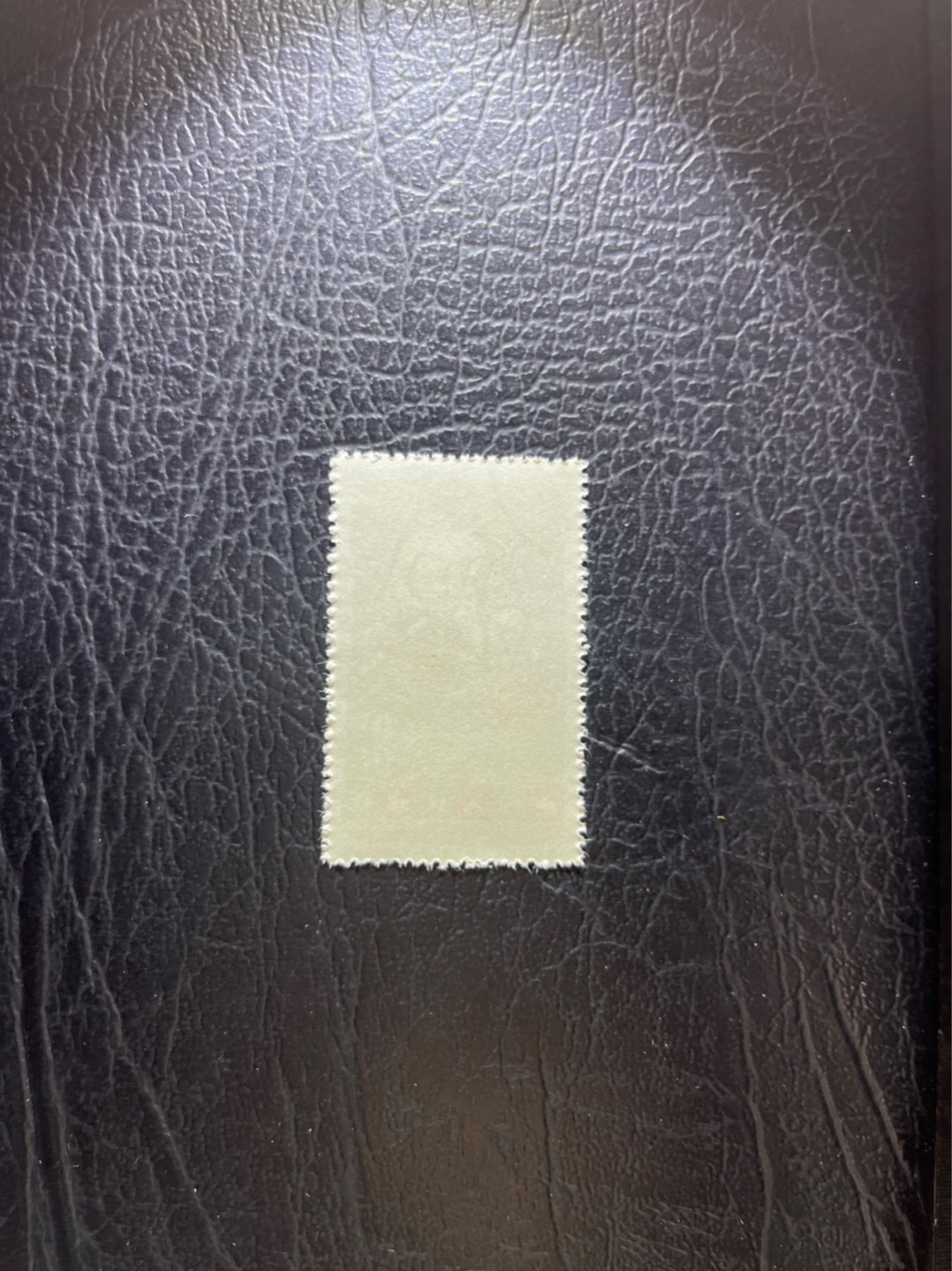 洪涛臻品 精选邮票限时拍卖第五十期 特54儿童 盖销 12-3   一 枚，版撕全品嘎嘎绝， 面艳背白，生口，非常漂亮，热门票，草纸小票折痕多，全品数量有限，注意捡漏