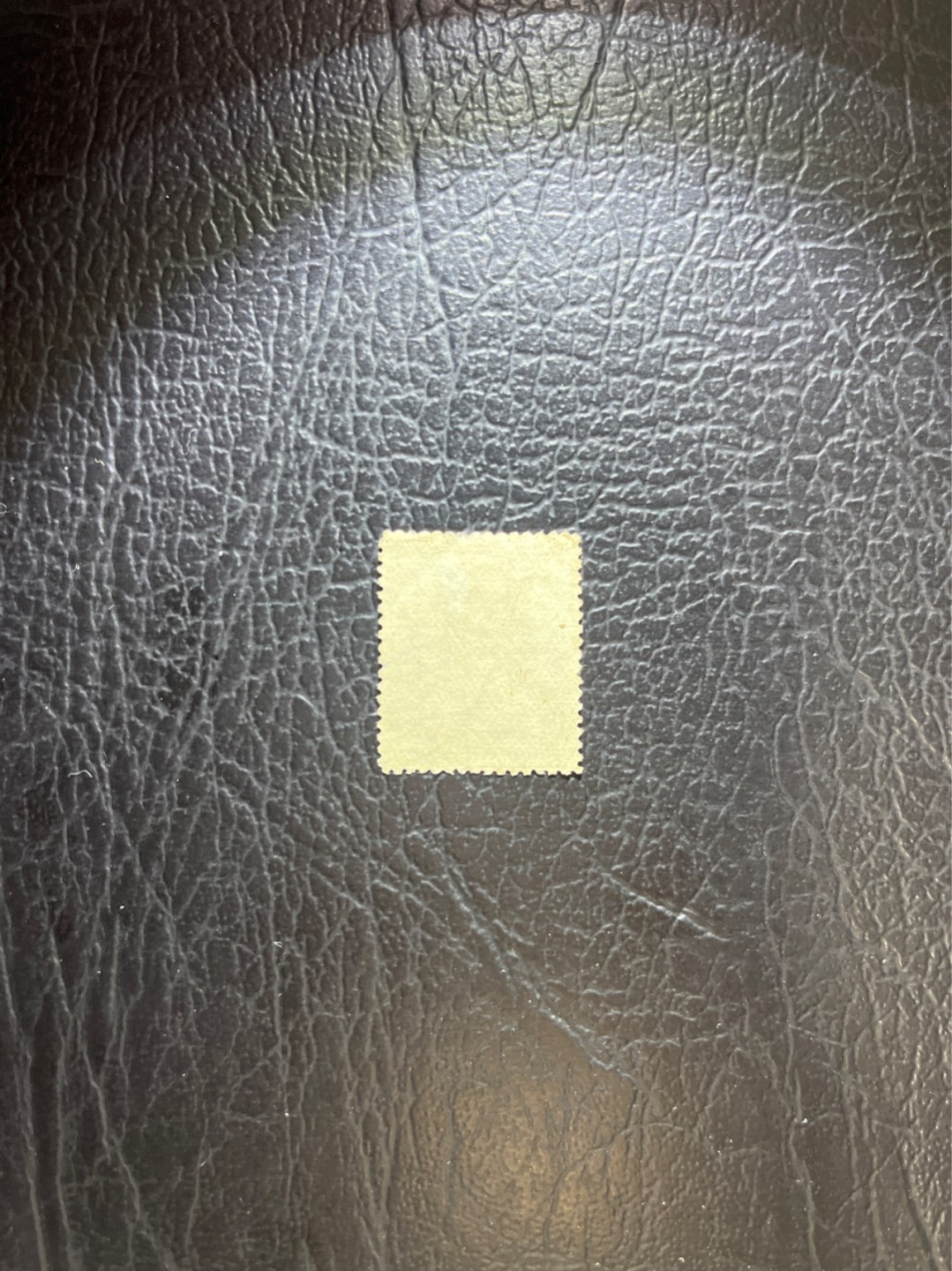 洪涛臻品 精选邮票限时拍卖第五十期 大清鲤鱼邮票，16分，终生保真，品相不错，角全，无揭薄。入手保真清代文物邮票的机会！