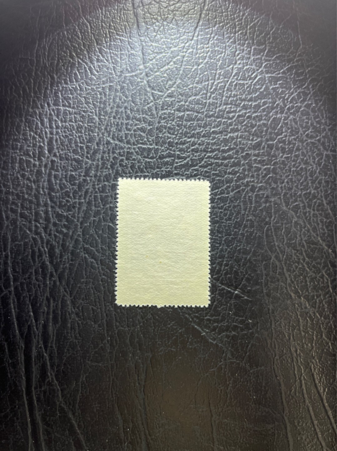 洪涛臻品 精选邮票限时拍卖第五十期 纪26列宁新 总筋3-2  版撕票★背面一个小黄点★别无瑕疵★总筋一枚几乎等于一套票★老纪特经典票，ASG90分一套价格1500元左右，博分首选，收藏或评级必须选版撕票，注意捡漏