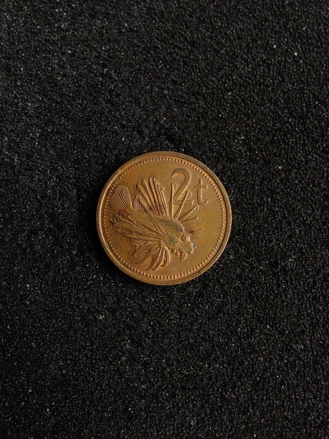 ♥一只鱼（世界钱币第四期） 巴布亚新几内亚2托伊