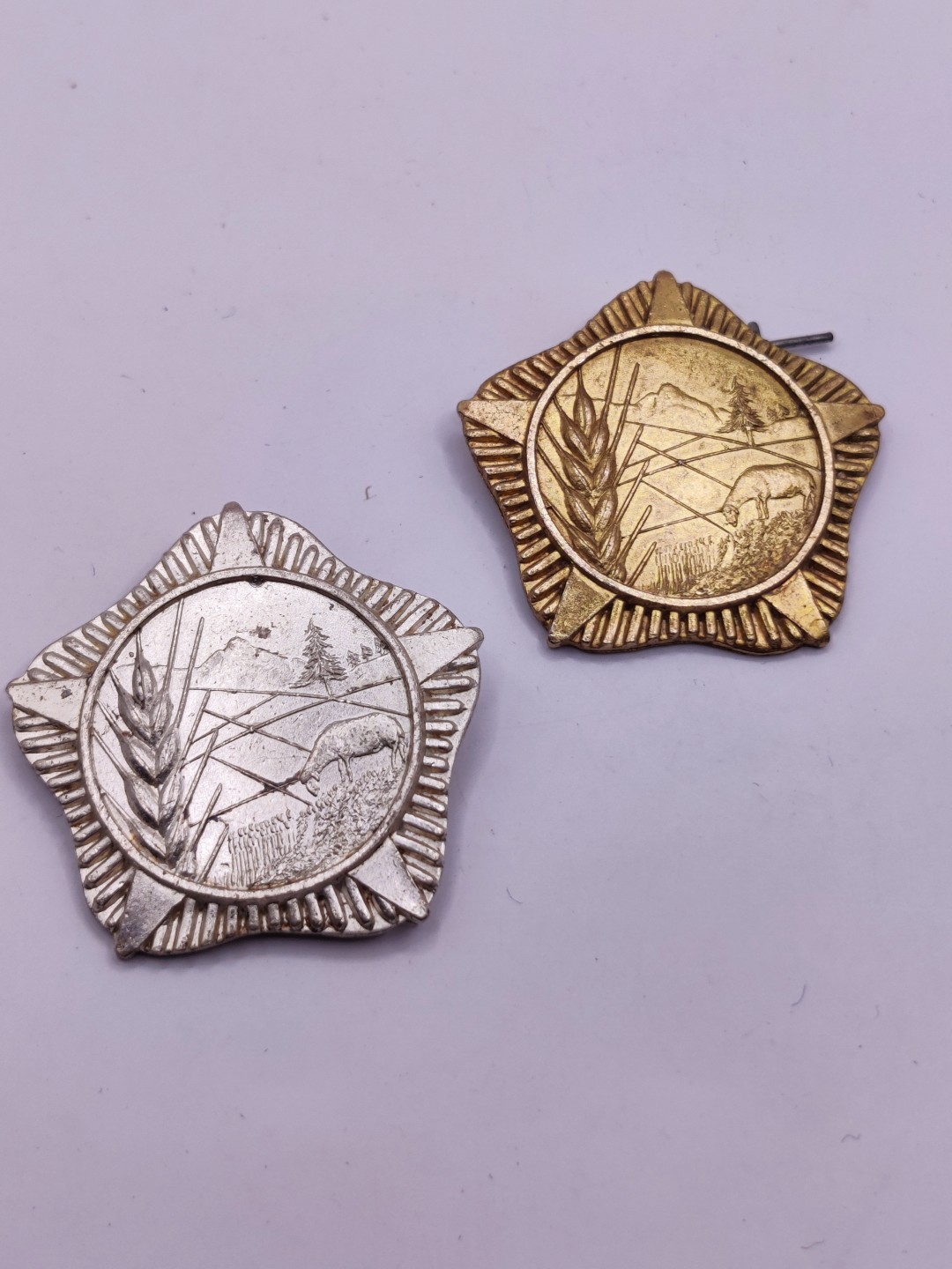 第五期 全场0元起拍 咸鱼国勋章拍卖专场10月16日下午6：00开始 阿尔巴尼亚杰出劳动勋章 铜 银级一组