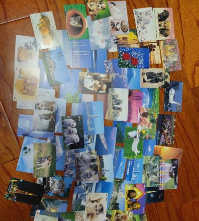 gush小明20221011周二 日本旧磁卡68张不重复顺丰包邮