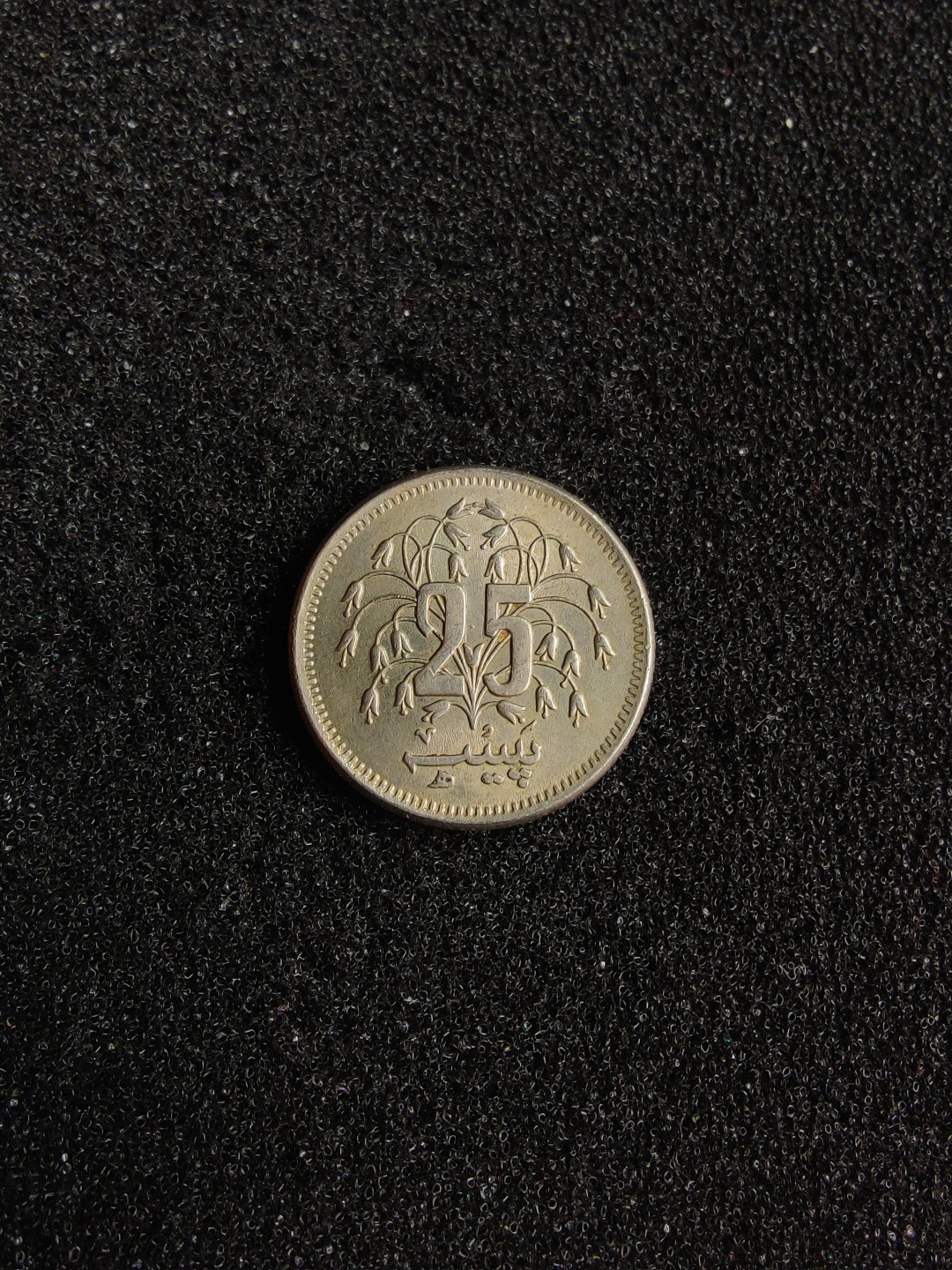 ♥一只鱼（世界钱币第四期） 巴基斯坦25派沙