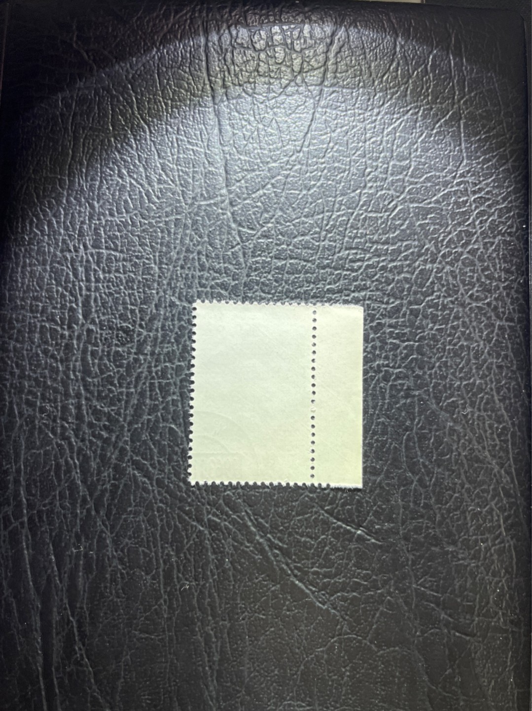 洪涛臻品 精选邮票限时拍卖第六十期 特56蝴蝶盖销  全品 20-10一枚★数字边★六珍三俗稀缺货★版撕全品嘎嘎绝，钢戳，面艳胶白，六珍之一，非常受欢迎的品种，新票价格高，盖销全品不要错过 