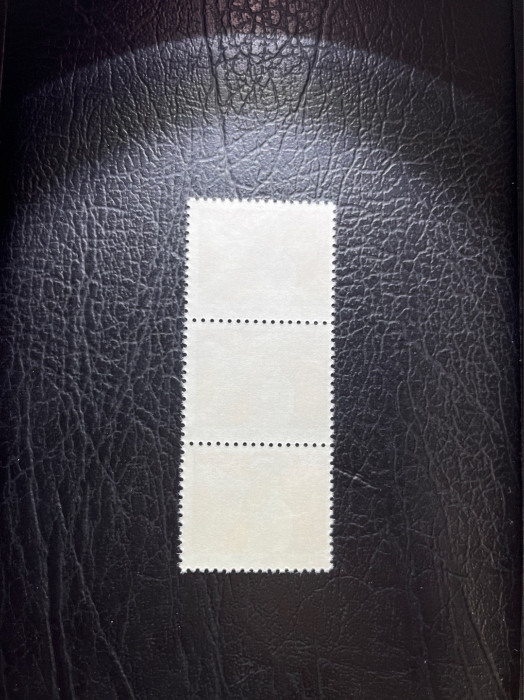 洪涛臻品 精选邮票限时拍卖第五十一期 普无号  1元炼钢工人竖3连一组，次筋票，★没货了，要拿抓紧★版撕全品嘎嘎绝，可直接评级。非常受欢迎的一枚文革普票，红色票面非常漂亮，文革期间发行的唯一一套普票，非常有特点，集邮册中不可缺少的一组，文革票人气足，潜力大，目前处于价值洼地，版撕全品可直接评级，注意捡漏