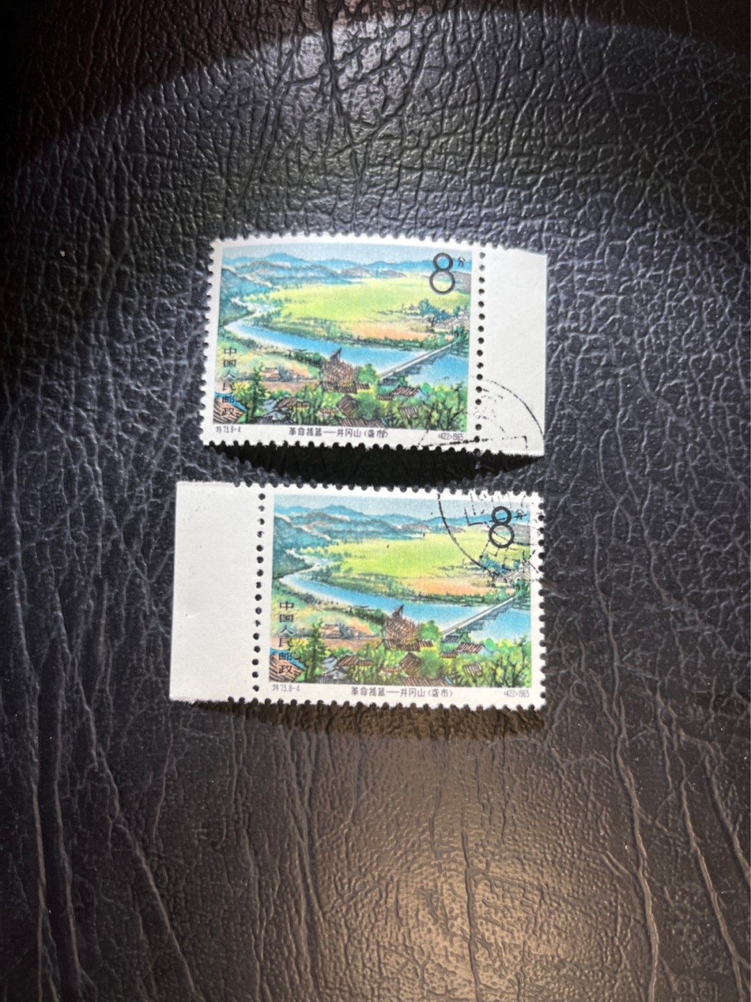 洪涛臻品 精选邮票限时拍卖第五十一期 特73井冈山盖销  8-4  带边纸2枚，版撕全品嘎嘎绝，✦完美品相✦解放初的经典票，整版撕开，面艳胶白，票挺洁净，齿孔完美，收藏评级两相宜，且有高附加值边纸。老纪特的版票资源十分稀缺难寻，机会来临时必须抓住。《ASG评级处于初级阶段，趁便宜囤精品版撕票，后市不可估量》