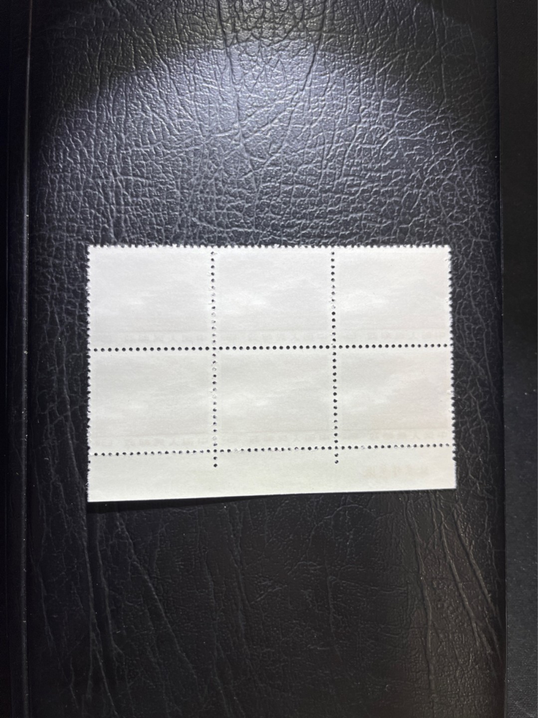 洪涛臻品 精选邮票限时拍卖第六十四期 厂名六连最后一组！！！！普无号  8分天安门红太阳  厂名六方连一组，版撕全品，文革唯一一套普票，有较高的收藏价值，可单枚玩，可成套玩。可评级