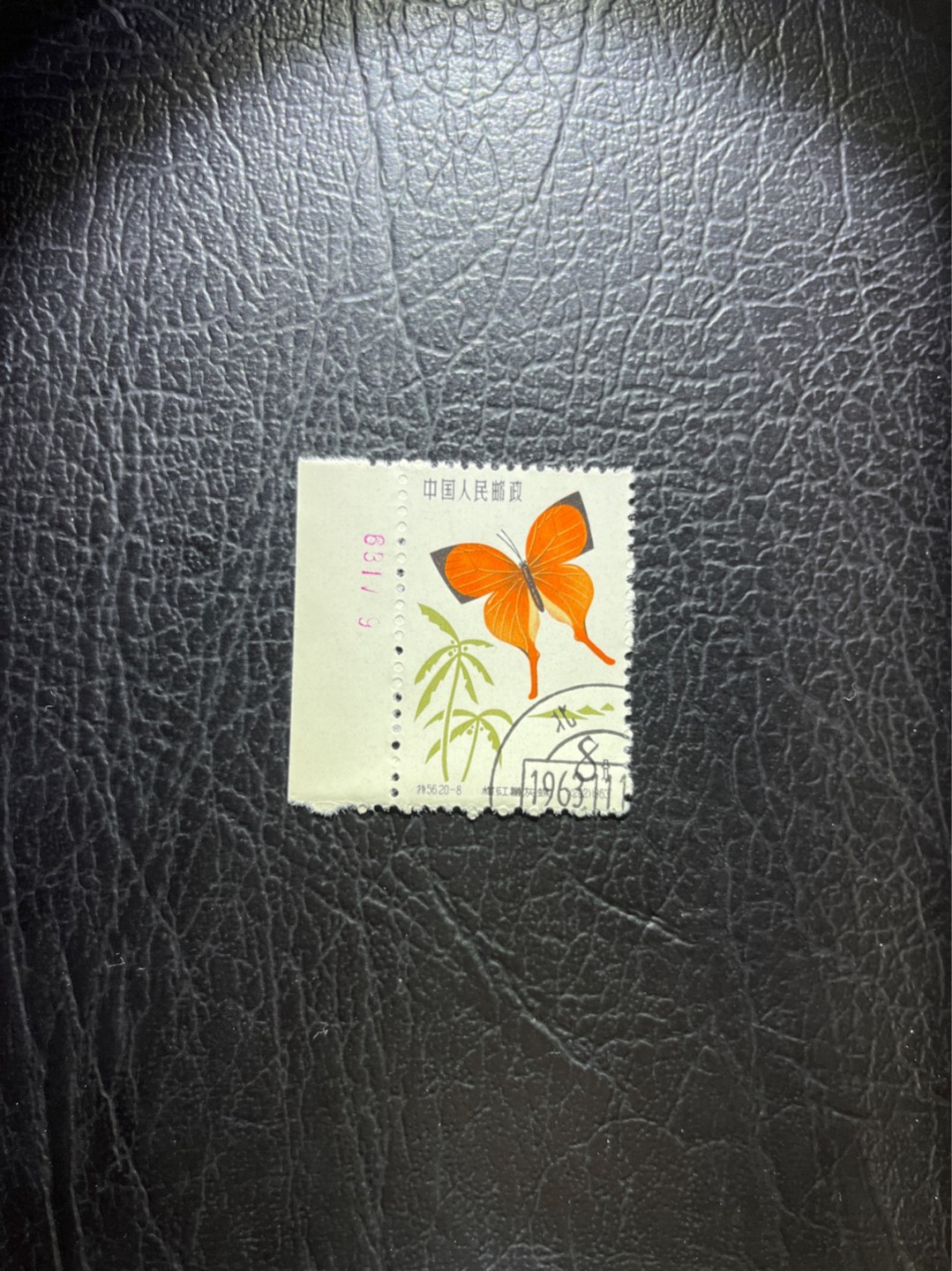 洪涛臻品 精选邮票限时拍卖第五十一期 特56蝴蝶盖销  全品 20-8一枚★数字边★六珍三俗稀缺货★版撕全品嘎嘎绝，钢戳，面艳胶白，六珍之一，非常受欢迎的品种，新票价格高，盖销全品不要错过 