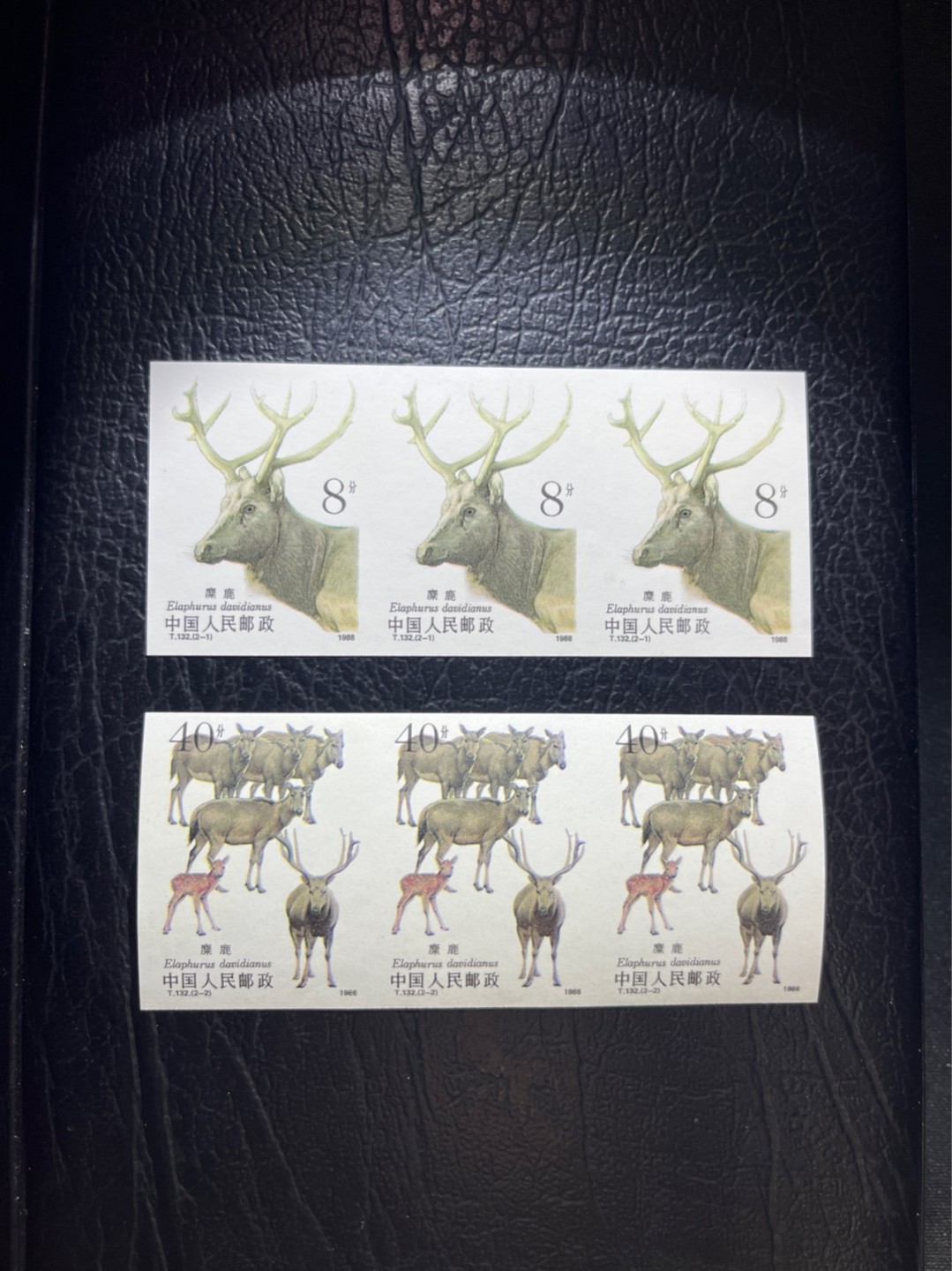 洪涛臻品 精选邮票限时拍卖第五十一期 T132无齿麋鹿新全     横条三连一组 ★肉眼绝品无瑕疵，紫光灯下极轻微瑕疵★精品版货  精工细裁 ，四角白尖， 面艳背白，全程带硅胶手套操作，喜欢的老板不要错过