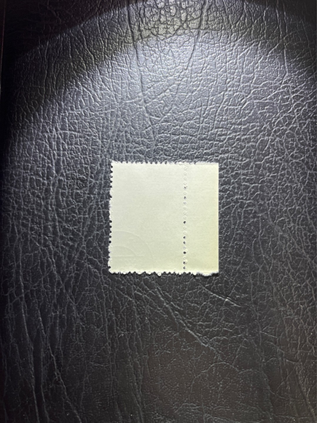 洪涛臻品 精选邮票限时拍卖第五十一期 特56蝴蝶盖销  全品 20-8一枚★数字边★六珍三俗稀缺货★版撕全品嘎嘎绝，钢戳，面艳胶白，六珍之一，非常受欢迎的品种，新票价格高，盖销全品不要错过 