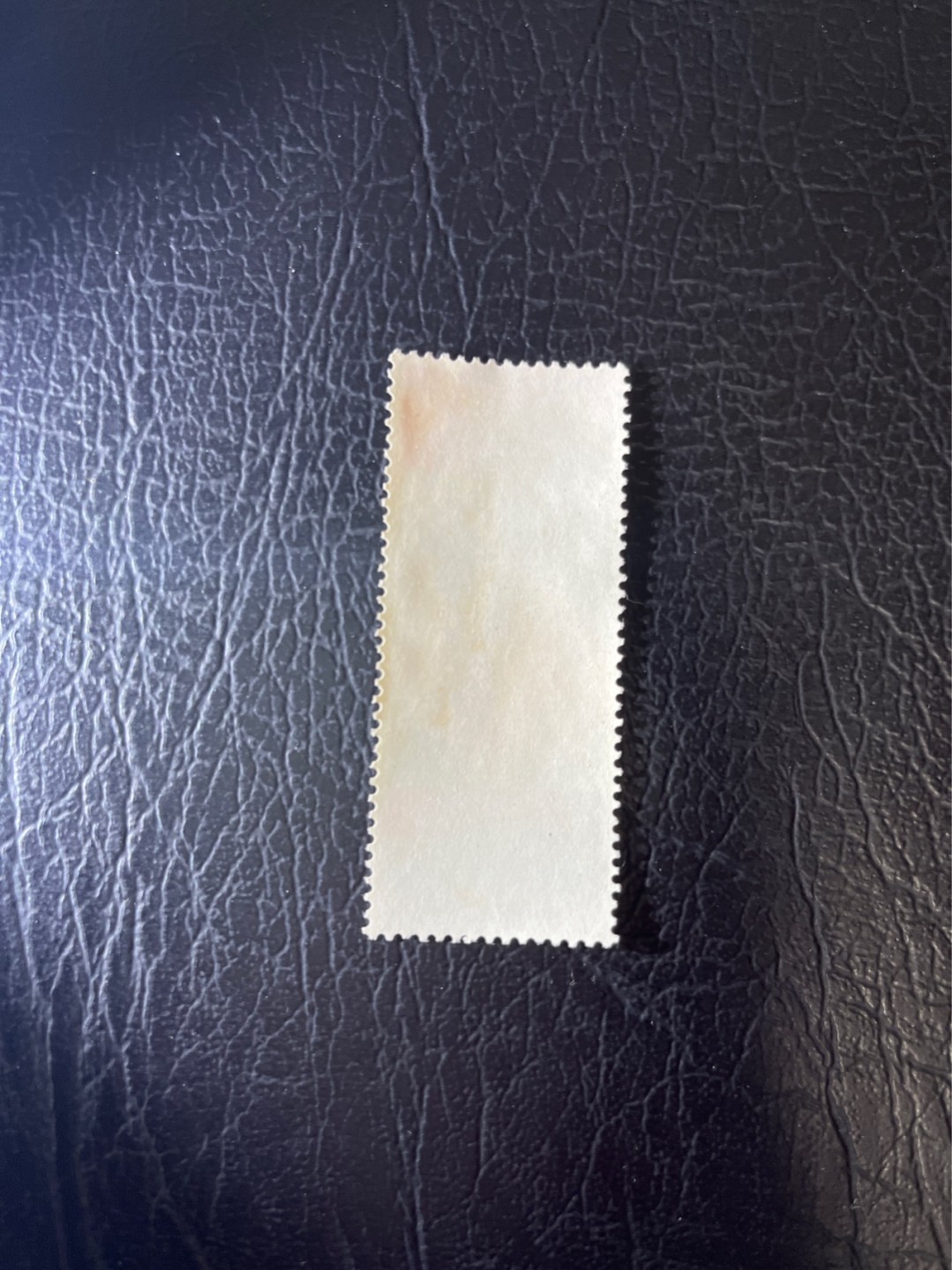 洪涛臻品 精选邮票限时拍卖第五十一期 纪105 越南 信销 上品 无薄无裂 正面鲜艳 齿孔全