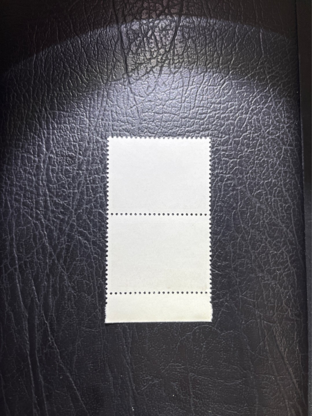 洪涛臻品批发群  精选邮票限时拍卖第八十四期 编号巴黎公社 N11    2连一组，版撕全品嘎嘎绝，齿孔饱满★随时售缺，编号票中的龙头，版撕全品嘎嘎绝，收藏级品相。齿孔新且饱满，全品可评级，注意捡漏。！《ASG评级处于初级阶段，注意建仓便宜的版撕货，未来市场前景不可估量！！！！》