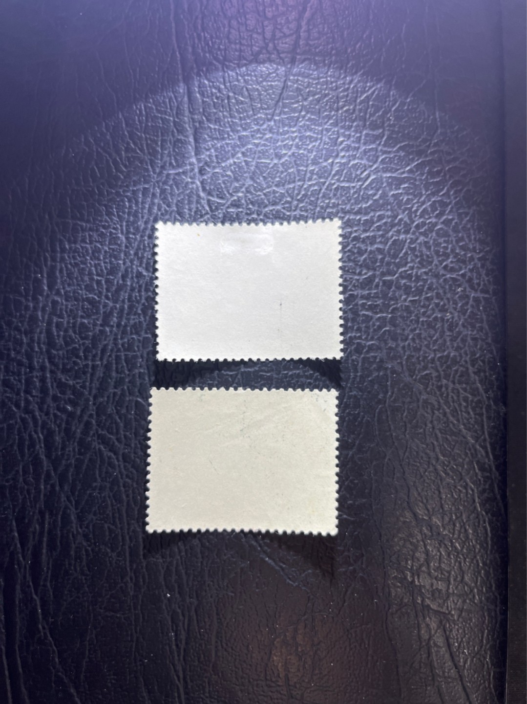 洪涛臻品 精选邮票限时拍卖第五十一期 纪103非洲  盖销  上品 贴印