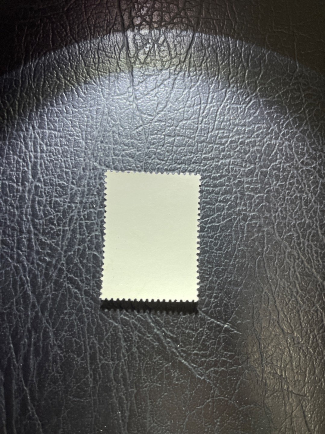 洪涛臻品 精选邮票限时拍卖第五十一期 纪113  邮电部长 盖销全 面艳背白票挺 几乎全品，无明显瑕疵，品相不错