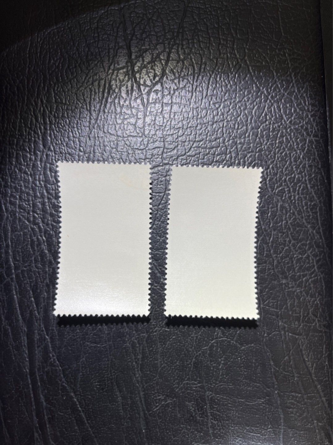 洪涛臻品 精选邮票限时拍卖第五十一期 特68新安江4-2  4-3各1枚 盖销 顺戳，背胶白润，非常漂亮，★品相可以用完美来形容，版撕全品嘎嘎绝 背胶雪白。解放初的经典票，整版撕开，面艳胶白，票挺洁净，齿孔完美。老纪特的版票资源十分稀缺难寻，机会来临时必须抓住。尾货处理，随时售缺，注意捡漏