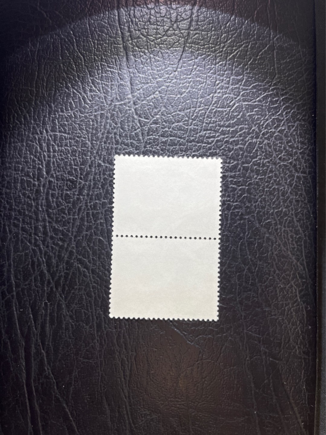 洪涛臻品 精选邮票限时拍卖第五十一期 文17  10分  2枚，版撕票，一枚右下角软折，上品，喜欢不要错过。《ASG评级处于初级阶段，注意建仓便宜的版撕货，未来市场前景不可估量！！！！》