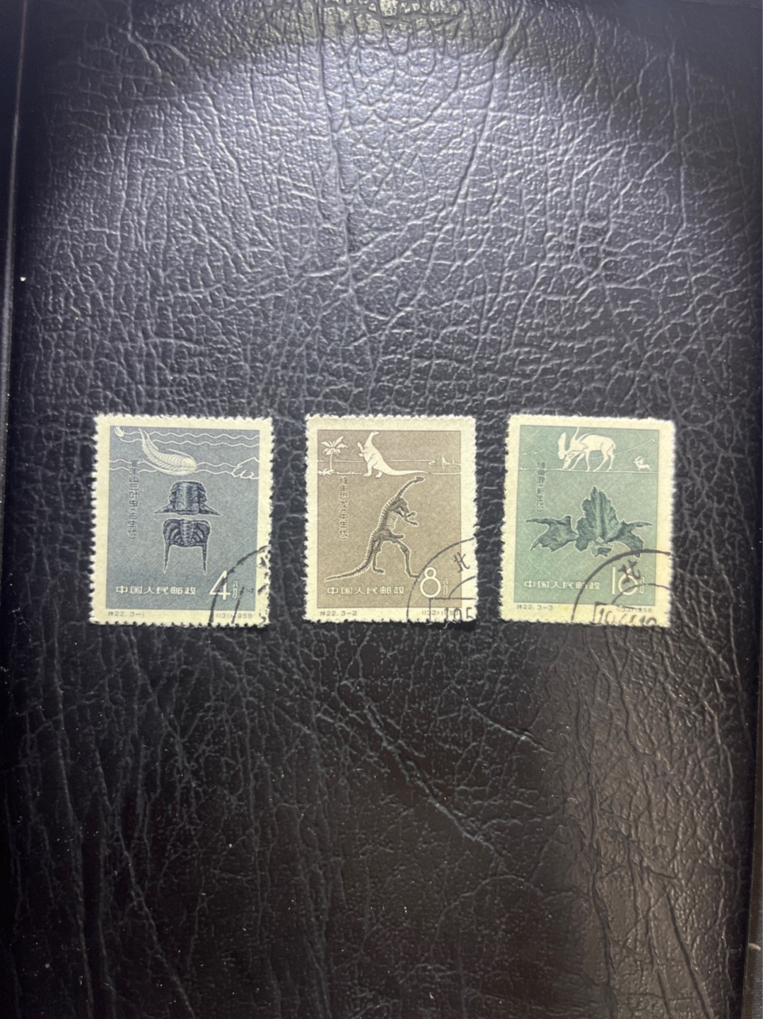 洪涛臻品 精选邮票限时拍卖第五十二期 特22古生物 全品盖销顺戳  面艳背白票挺