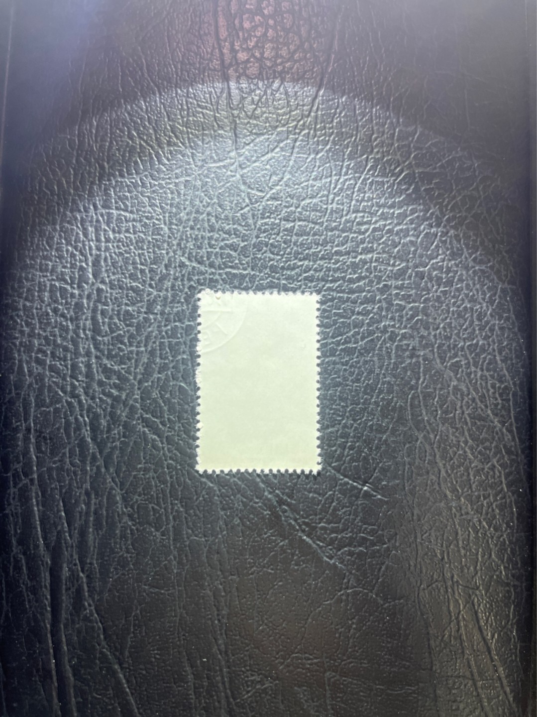 洪涛臻品 精选邮票限时拍卖第五十二期 特56蝴蝶盖销  20-11一枚，版撕全品嘎嘎绝，钢戳，面艳胶白，六珍之一，非常受欢迎的品种，新票价格高，盖销全品不要错过