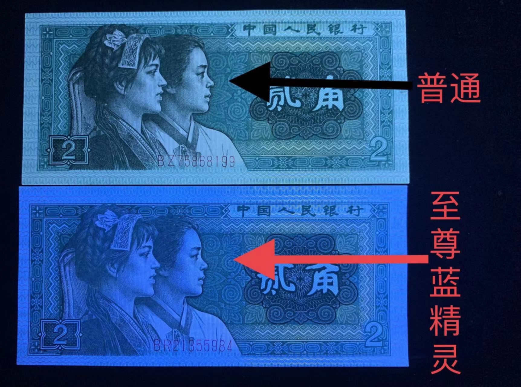 8002币王至尊蓝精灵，左单边荧光，全程无47单张价588元，带7售价488带4售价388，最蓝光纸张，超过市面上所有的蓝纸张