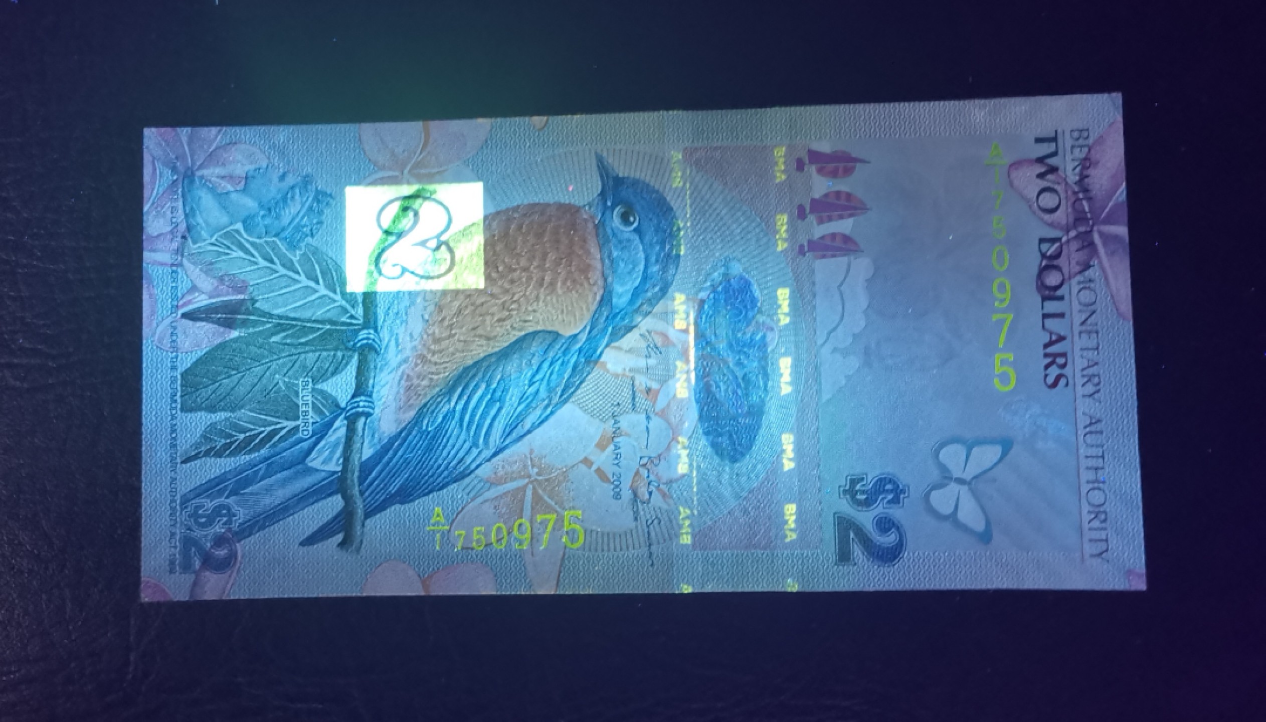 《张总收藏》76期——外币大拍 2009年百慕大2元A1冠UNC无4 IBNS世界最佳纸币获奖钞