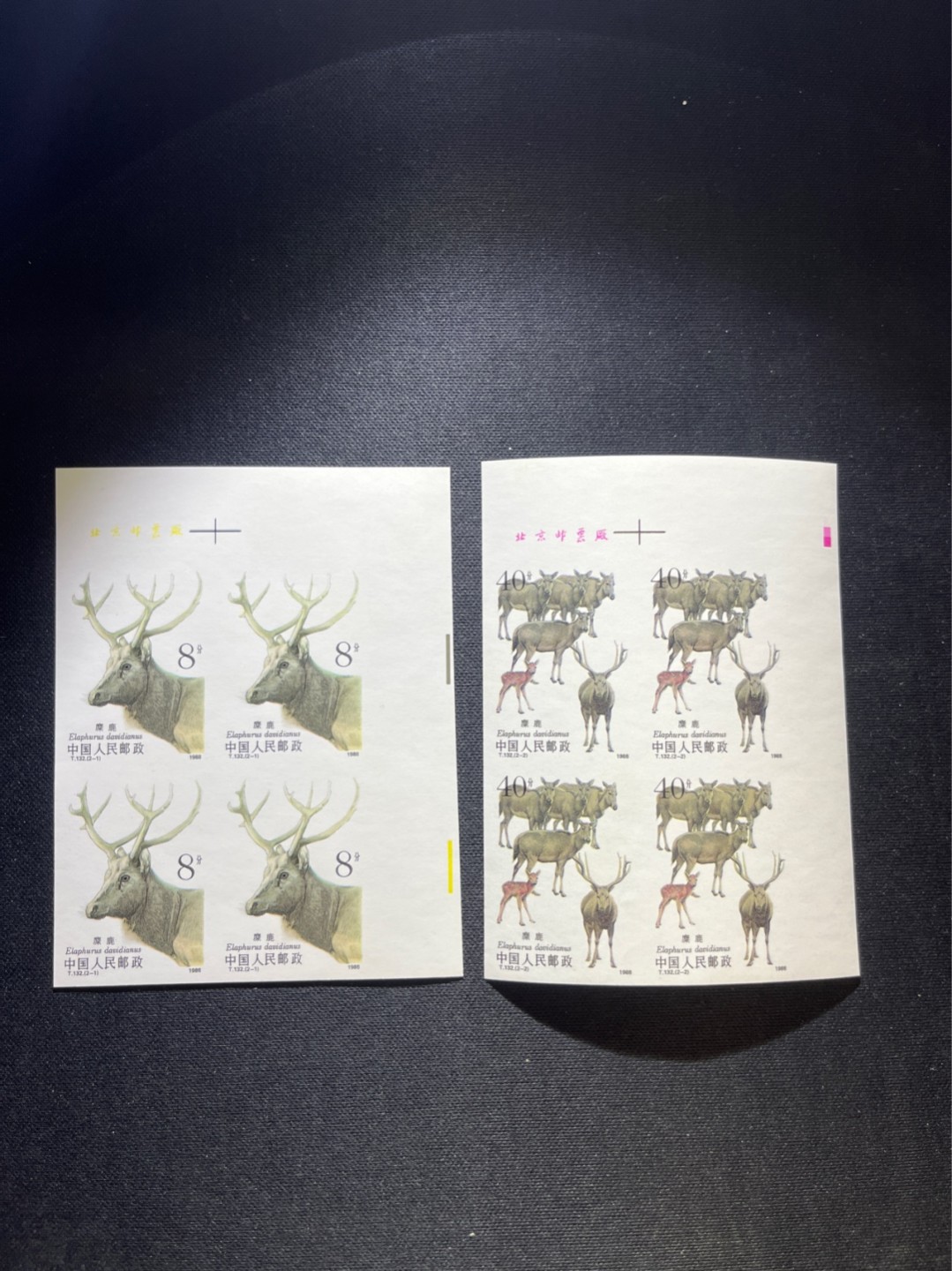 洪涛臻品 精选邮票限时拍卖第五十二期 T132无齿麋鹿新全     厂名连一组 ★肉眼绝品无瑕疵，紫光灯下极轻微瑕疵★精品版货  精工细裁 ，四角白尖， 面艳背白，全程带硅胶手套操作，喜欢的老板不要错过