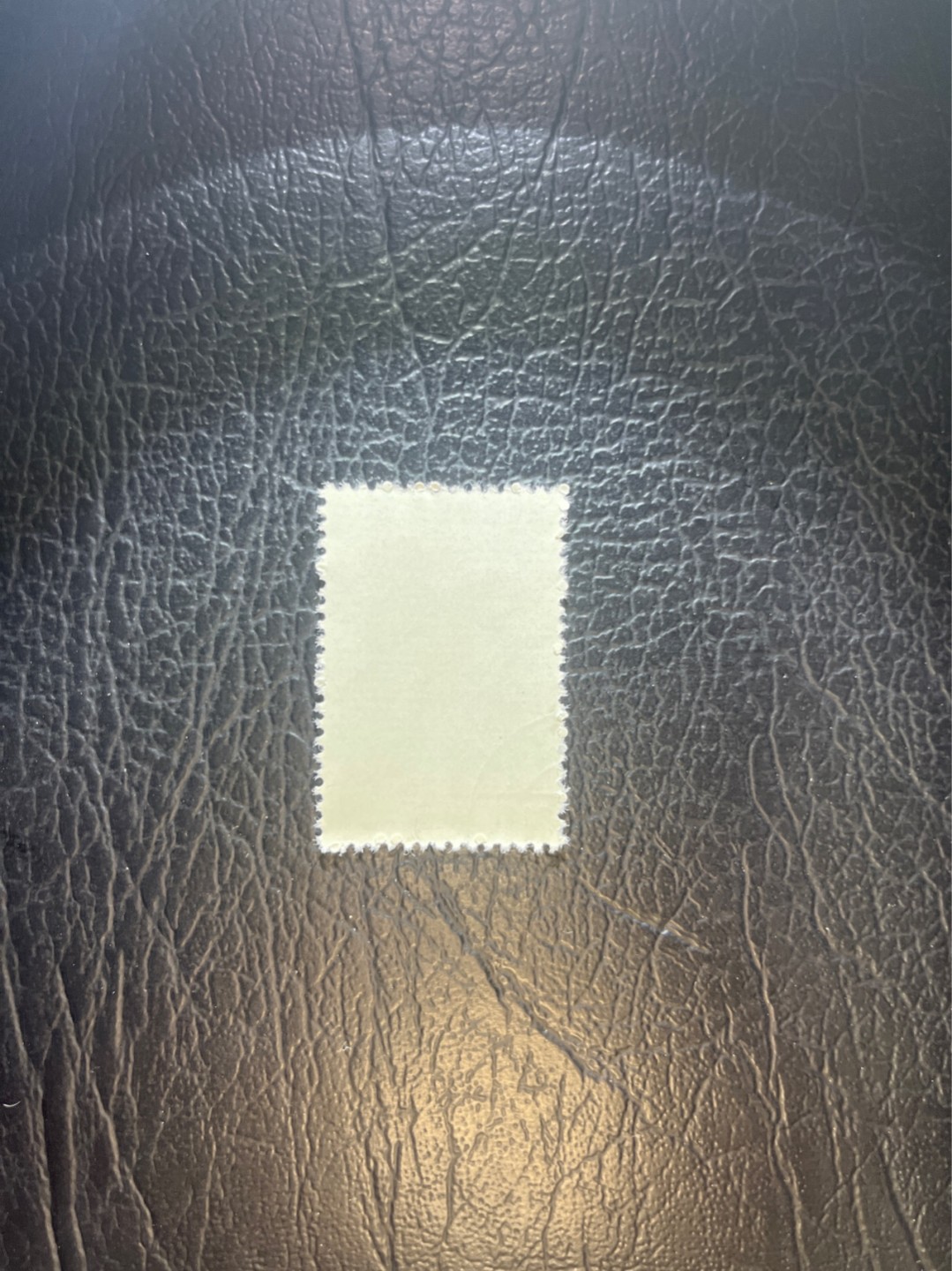 洪涛臻品 精选邮票限时拍卖第五十二期 特56蝴蝶盖销  20-8一枚，版撕全品嘎嘎绝，钢戳，面艳胶白，六珍之一，非常受欢迎的品种，新票价格高，盖销全品不要错过