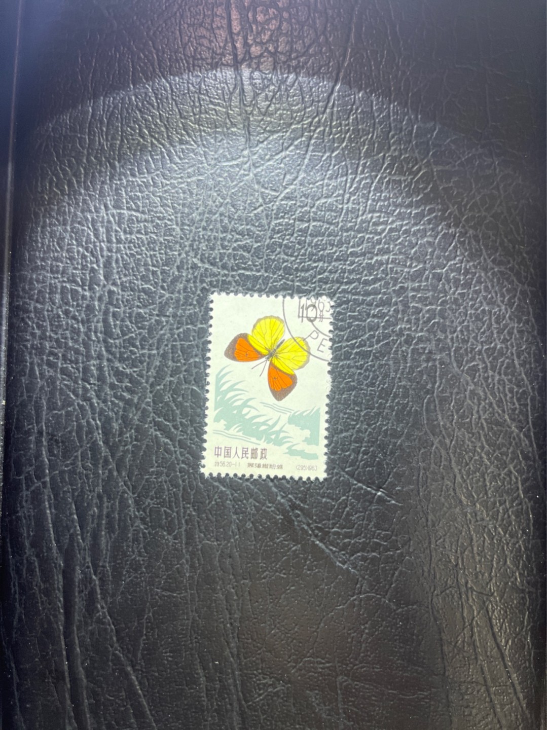 洪涛臻品 精选邮票限时拍卖第五十二期 特56蝴蝶盖销  20-11一枚，版撕全品嘎嘎绝，钢戳，面艳胶白，六珍之一，非常受欢迎的品种，新票价格高，盖销全品不要错过