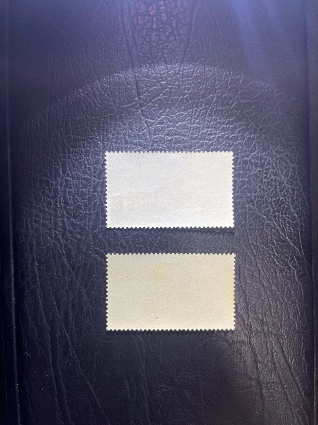 洪涛臻品 精选邮票限时拍卖第五十二期 特45博物馆 盖销上品 顺戳