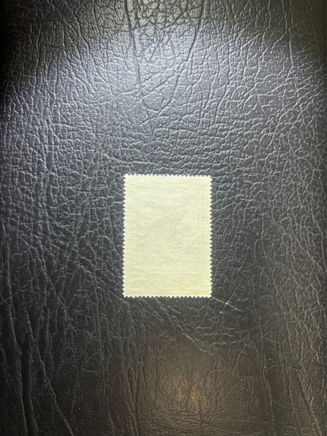 洪涛臻品 精选邮票限时拍卖第五十二期 纪26列宁新 总筋3-2  版撕全品嘎嘎绝✦绝品✦收藏级品相★总筋一枚几乎等于一套票★老纪特经典票，ASG90分一套价格1500元左右，博分首选，收藏或评级必须选版撕票，注意捡漏