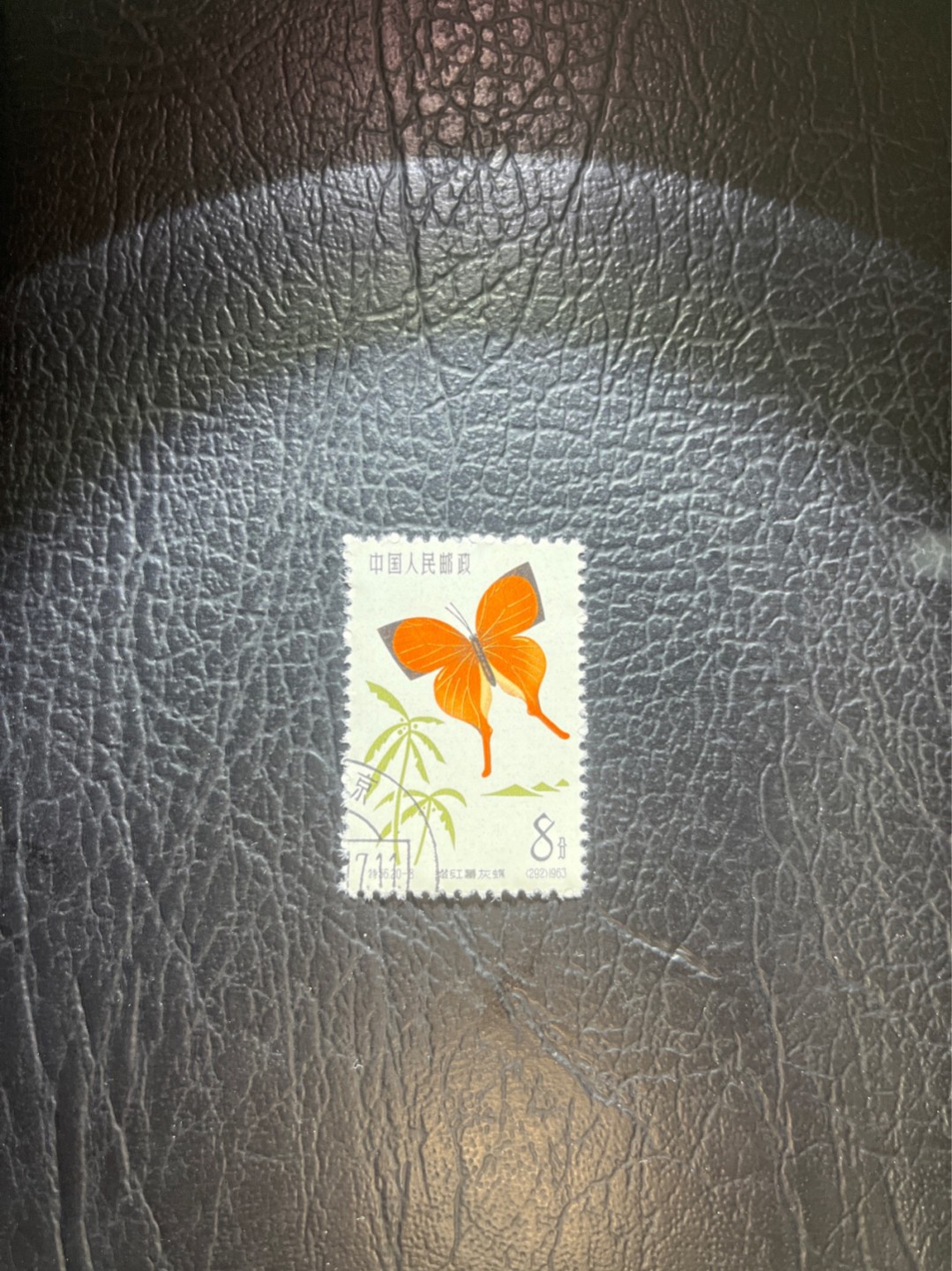 洪涛臻品 精选邮票限时拍卖第五十二期 特56蝴蝶盖销  20-8一枚，版撕全品嘎嘎绝，钢戳，面艳胶白，六珍之一，非常受欢迎的品种，新票价格高，盖销全品不要错过