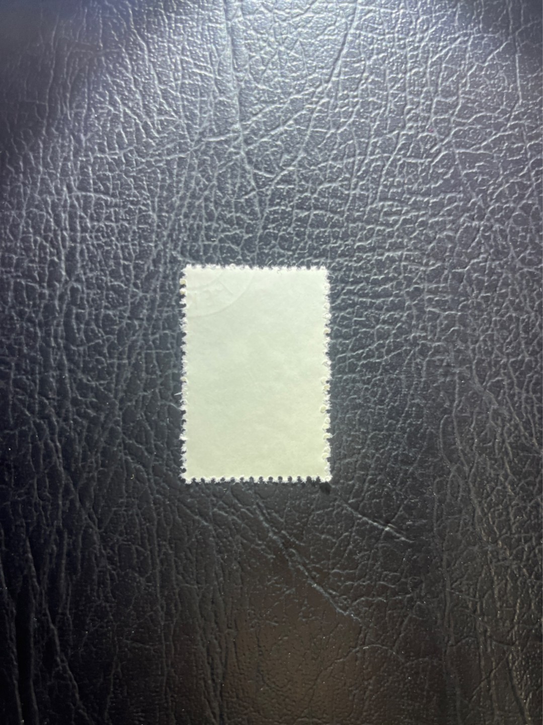 洪涛臻品 精选邮票限时拍卖第五十二期 特56蝴蝶盖销  20-12一枚，版撕全品嘎嘎绝，钢戳，面艳胶白，六珍之一，非常受欢迎的品种，新票价格高，盖销全品不要错过