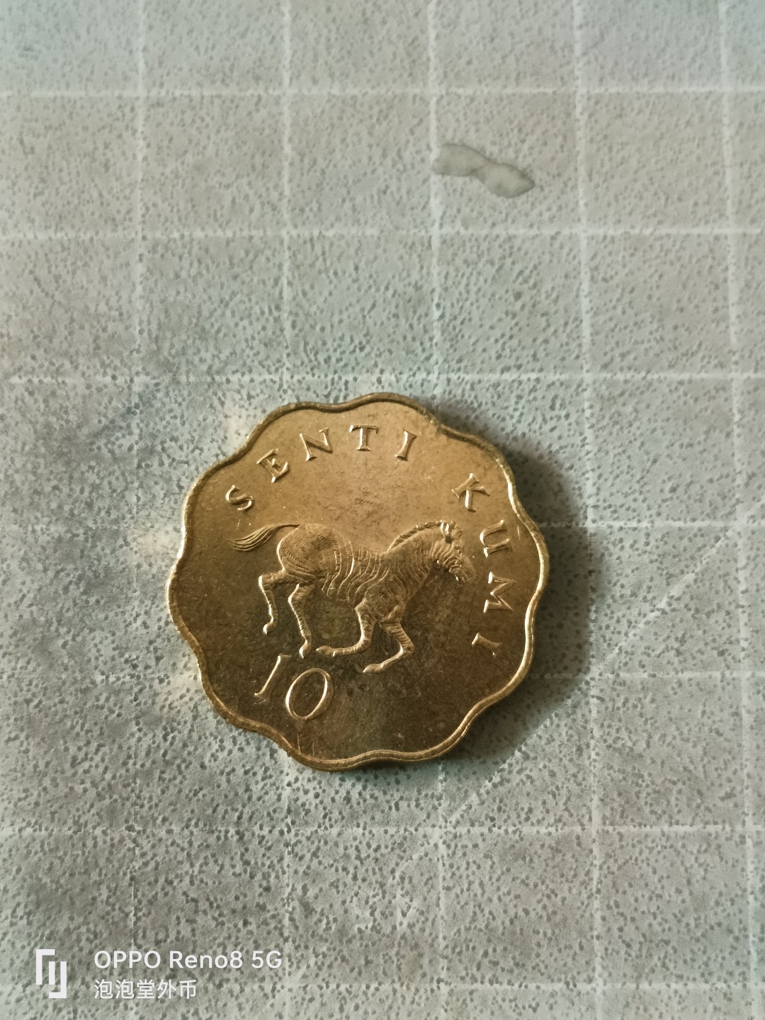 泡泡堂微拍，零佣金，零押金，满二十元包邮 坦桑尼亚原光十先令