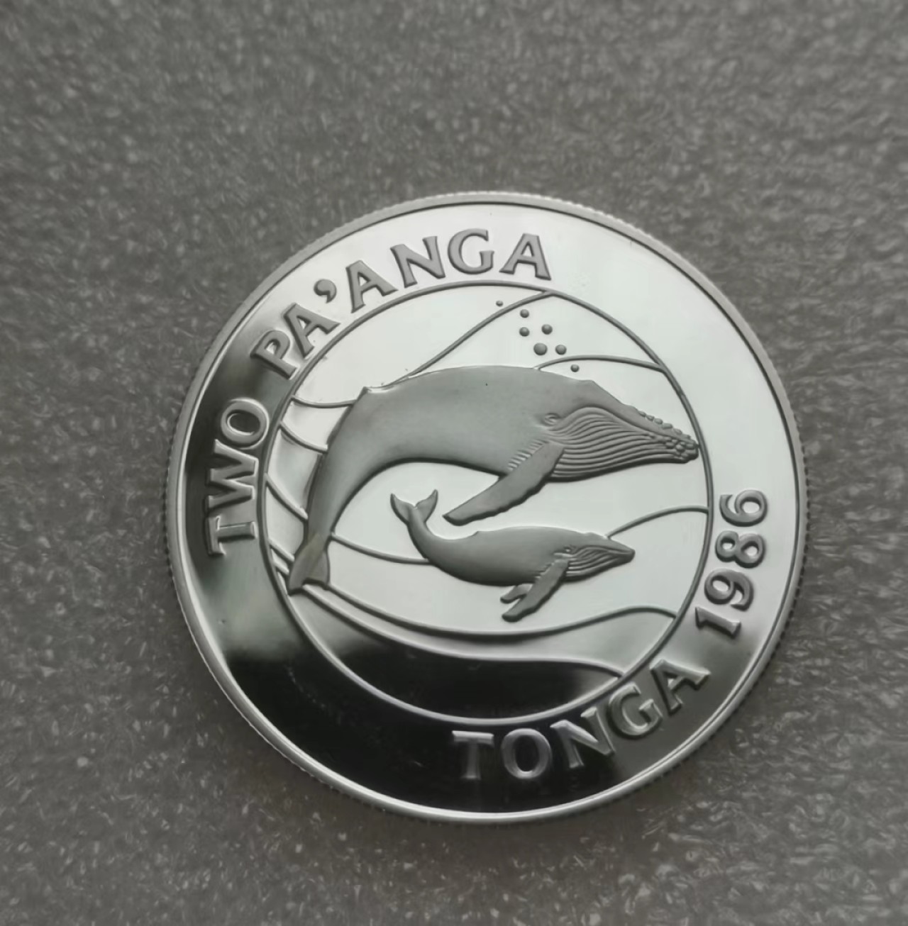 瓶子🏺第61期拍卖会 汤加1986年海洋动物精制大银币