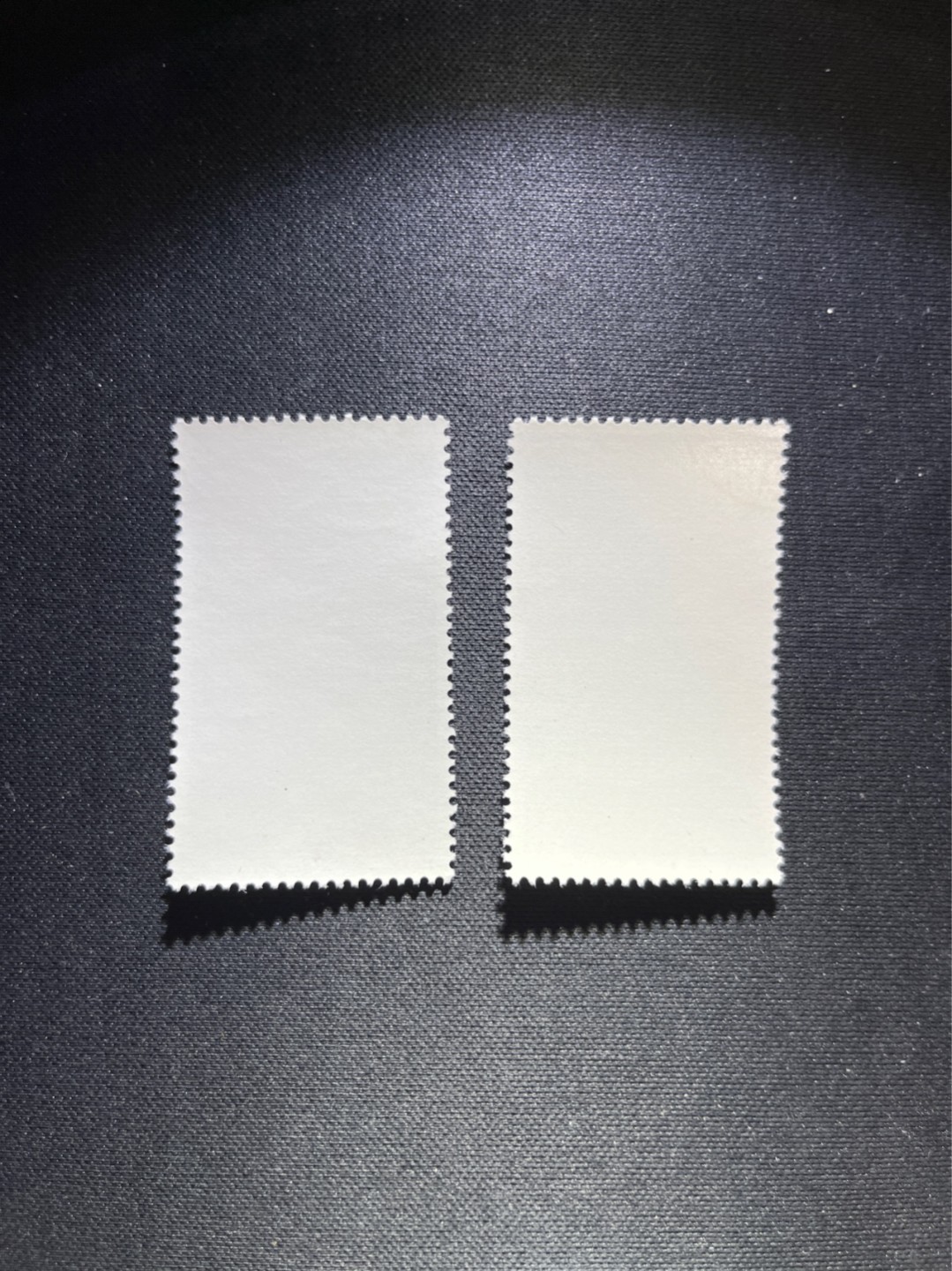 洪涛臻品 精选邮票限时拍卖第六十二期 特68新安江4-2  4-3各1枚 盖销 顺戳，非常漂亮，★品相可以用完美来形容，版撕全品嘎嘎绝 背胶雪白。解放初的经典票，整版撕开，面艳胶白，票挺洁净，齿孔完美。老纪特的版票资源十分稀缺难寻，机会来临时必须抓住。尾货处理，随时售缺，注意捡漏