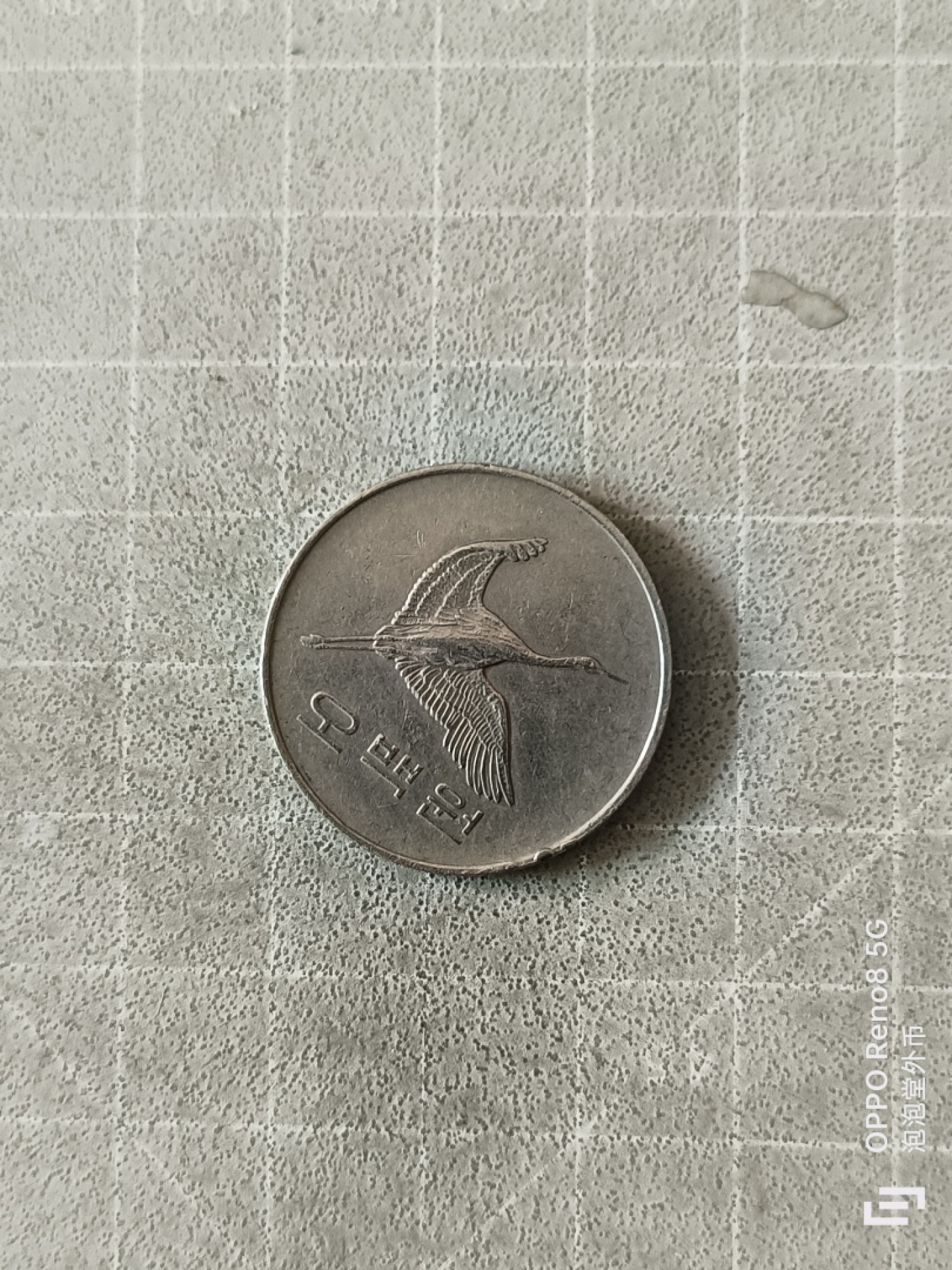 泡泡堂微拍，零佣金，零押金，满二十元包邮 韩国500元。