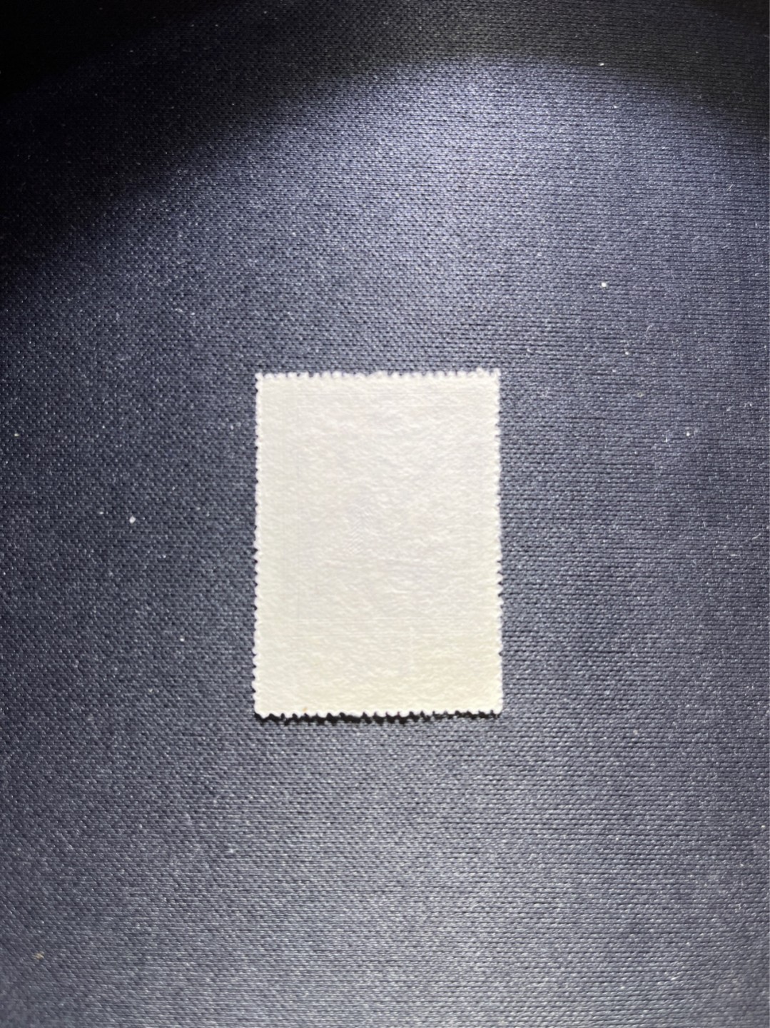 洪涛臻品 精选邮票限时拍卖第五十六期 纪26列宁新 总筋3-2  版撕票嘎嘎绝★总筋一枚几乎等于一套票★老纪特经典票，ASG90分一套价格1500元左右，博分首选，收藏或评级必须选版撕票，注意捡漏