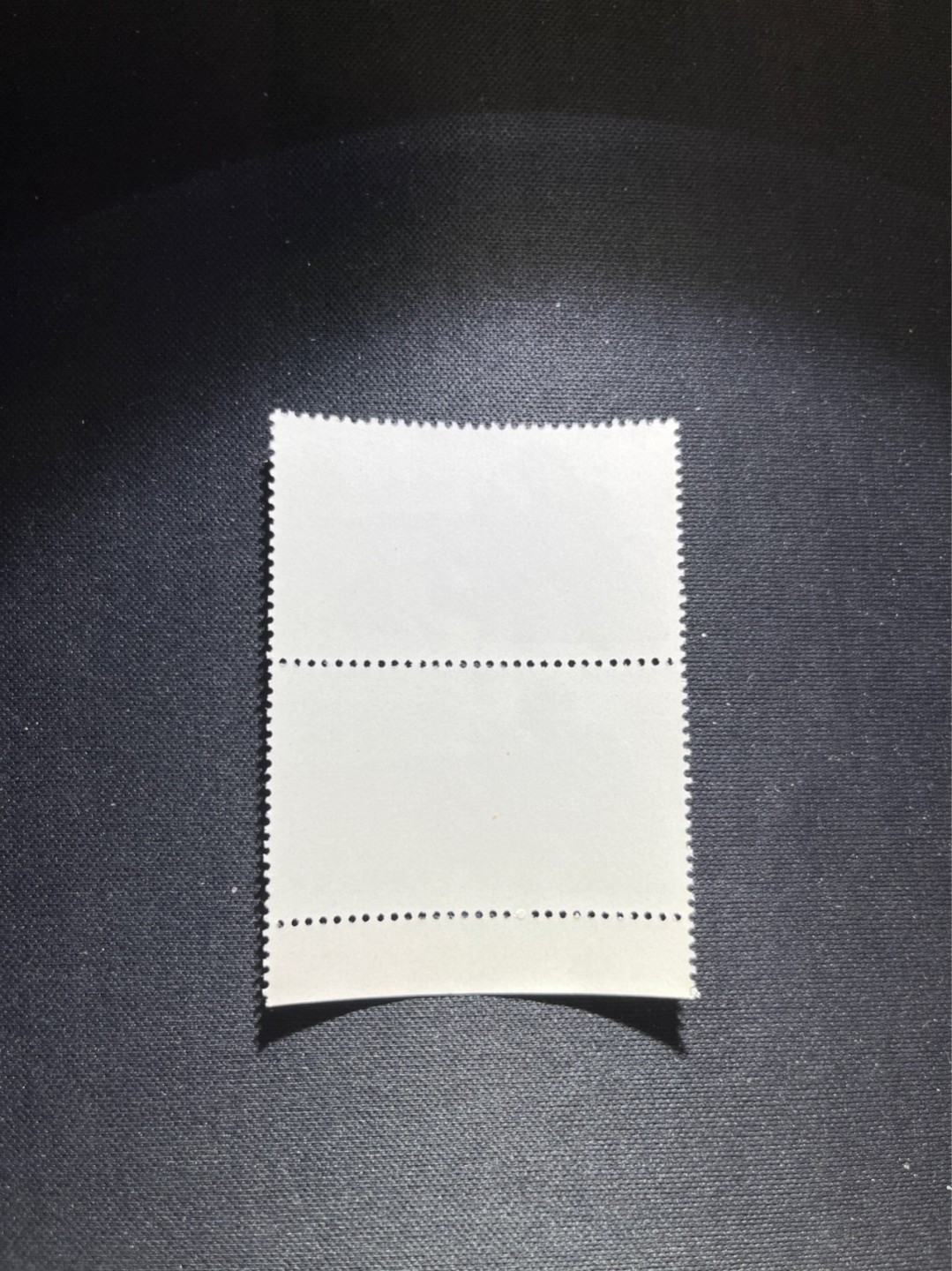 洪涛臻品 精选邮票限时拍卖第七十四期 热门品种，特74解放军  盖销  竖2连 黄色标一组，★完美品相★ 老纪特三俗稀缺，经典热门票，版撕全品嘎嘎绝，面艳胶白，撕口新，适合收藏，喜欢不要错过，全品可评级《ASG评级处于初级阶段，趁便宜囤精品版撕票，后市不可估量》