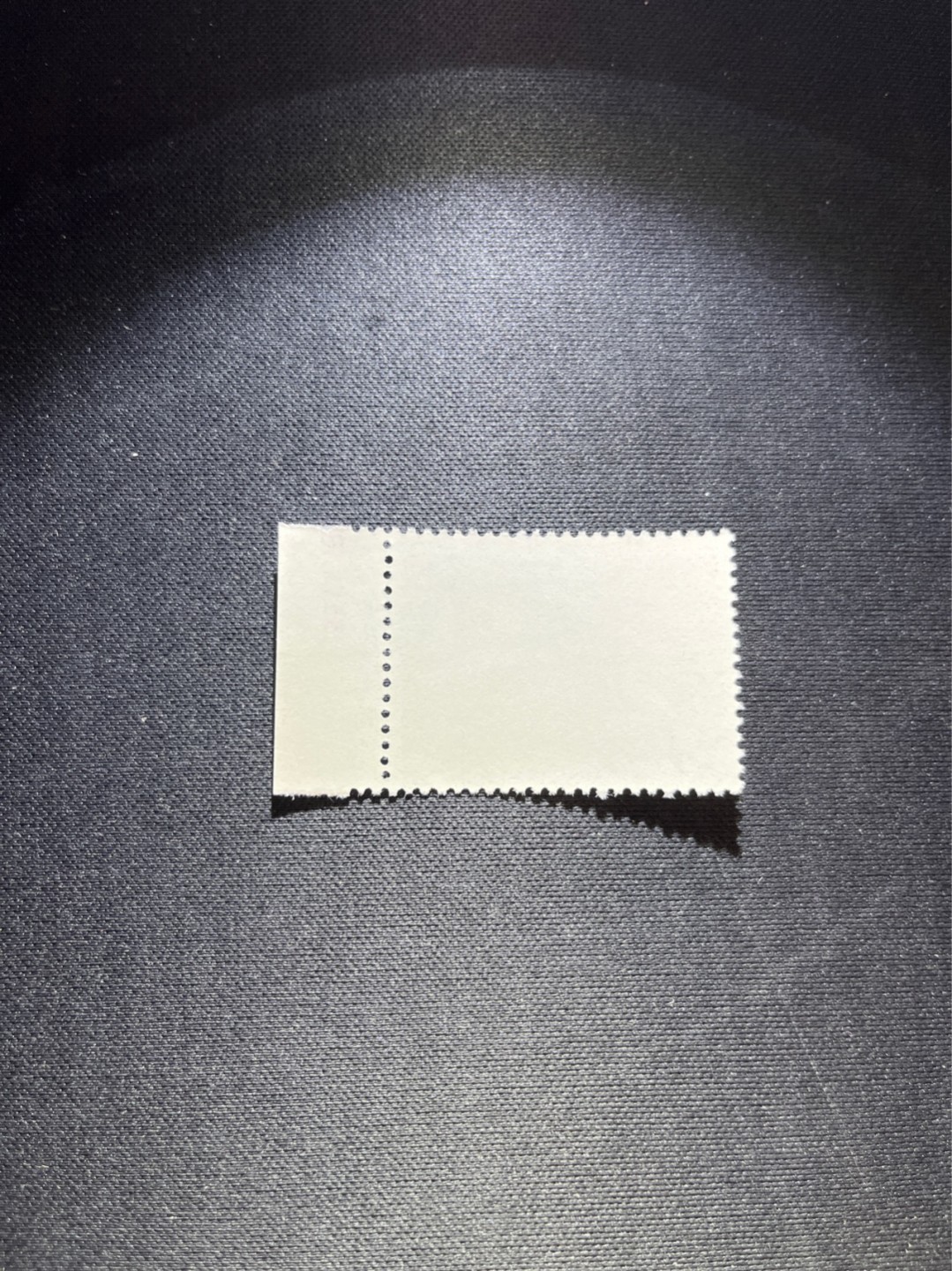 洪涛臻品 精选邮票限时拍卖第五十四期 特73井冈山盖销  8-4  数字边一枚，三俗稀缺，版撕全品嘎嘎绝，✦完美品相✦解放初的经典票，整版撕开，面艳胶白，票挺洁净，齿孔完美，收藏评级两相宜，且有高附加值边纸。老纪特的版票资源十分稀缺难寻，机会来临时必须抓住。《ASG评级处于初级阶段，趁便宜囤精品版撕票，后市不可估量》