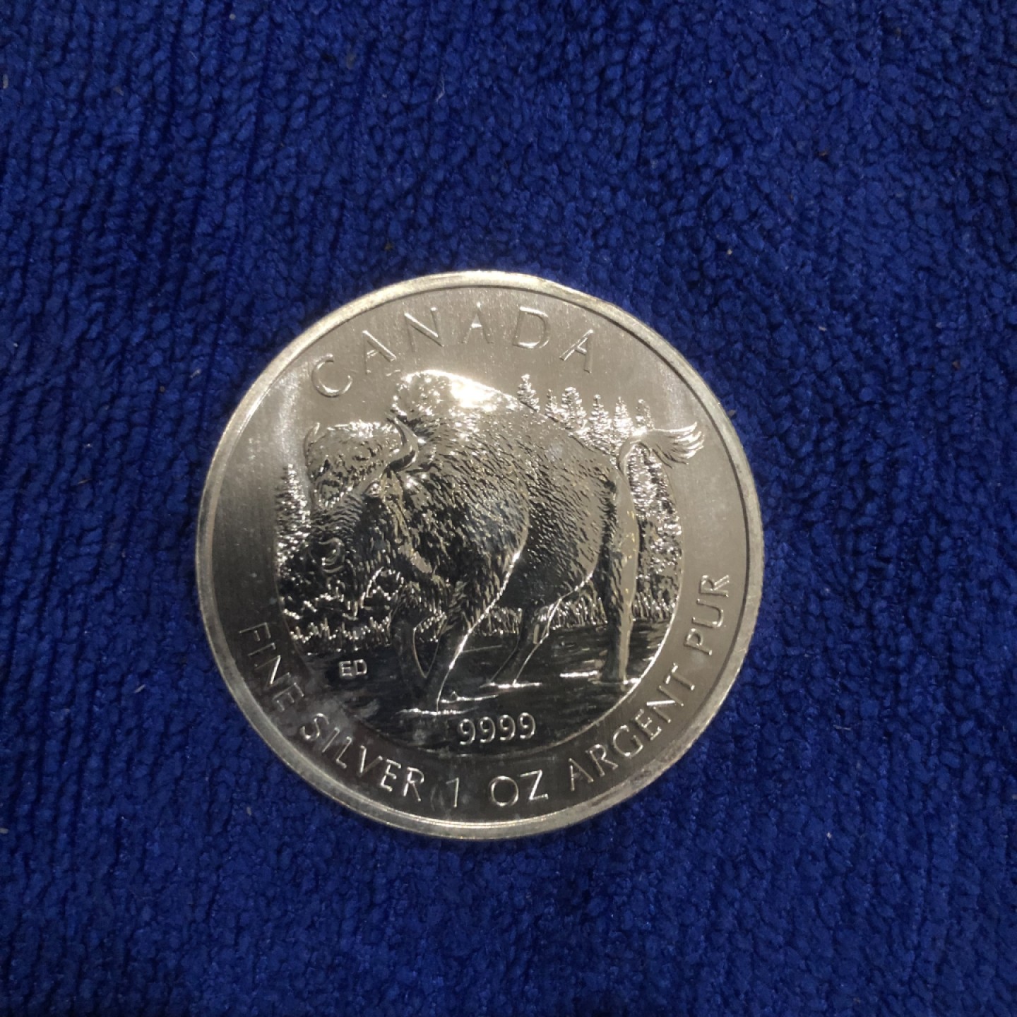 【保诚微拍】第36期  古今中外币章（部分评级）14号晚上七点半自动开拍！！！ 【投资银币】加拿大 2013年 野生动物-麝牛 投资银币（1盎司31.1克，0.9999银）.