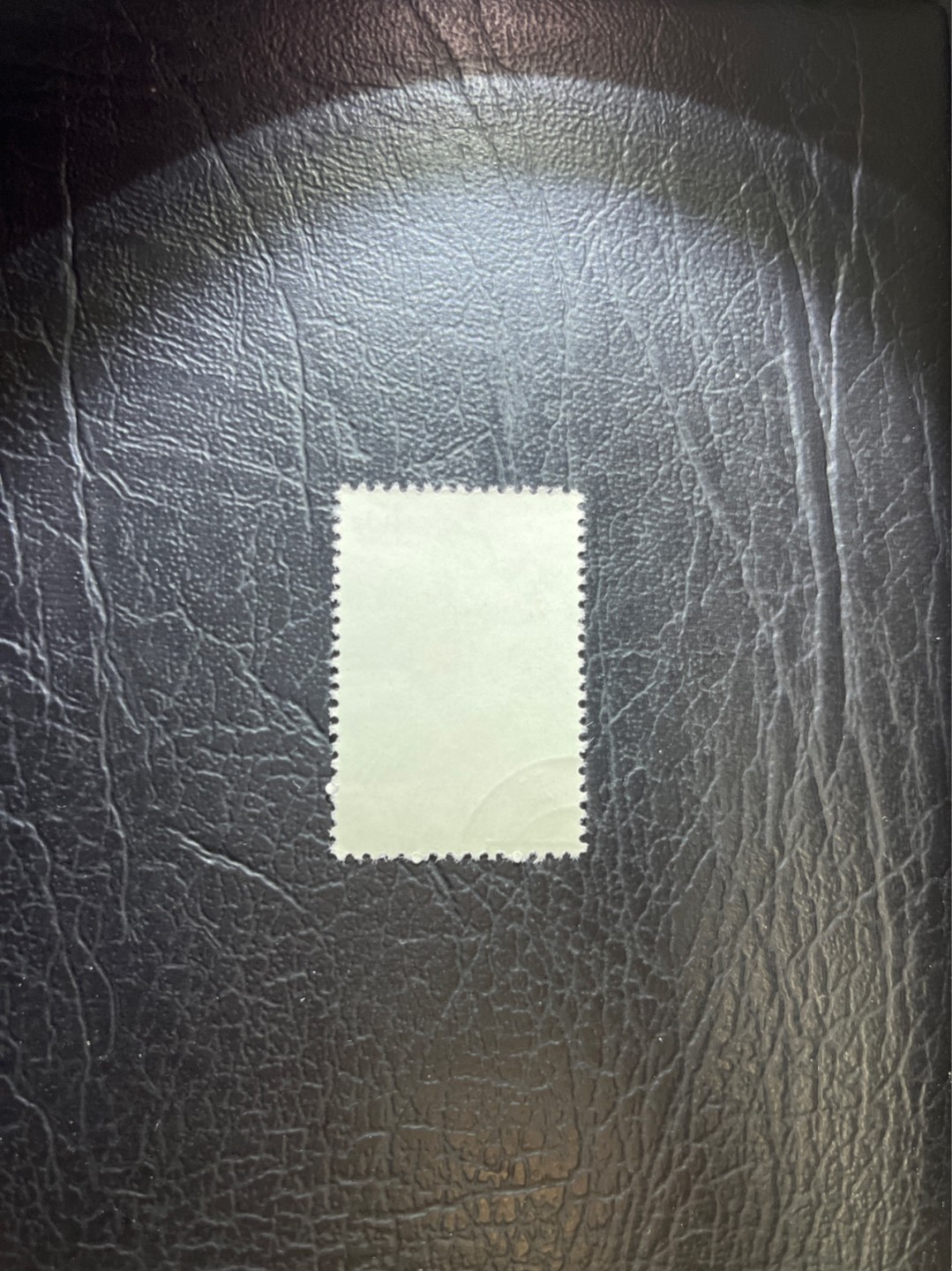 洪涛臻品 精选邮票限时拍卖第五十四期 特56蝴蝶盖销  20-11一枚，版撕全品嘎嘎绝，钢戳，面艳胶白，六珍之一，非常受欢迎的品种，新票价格高，盖销全品不要错过