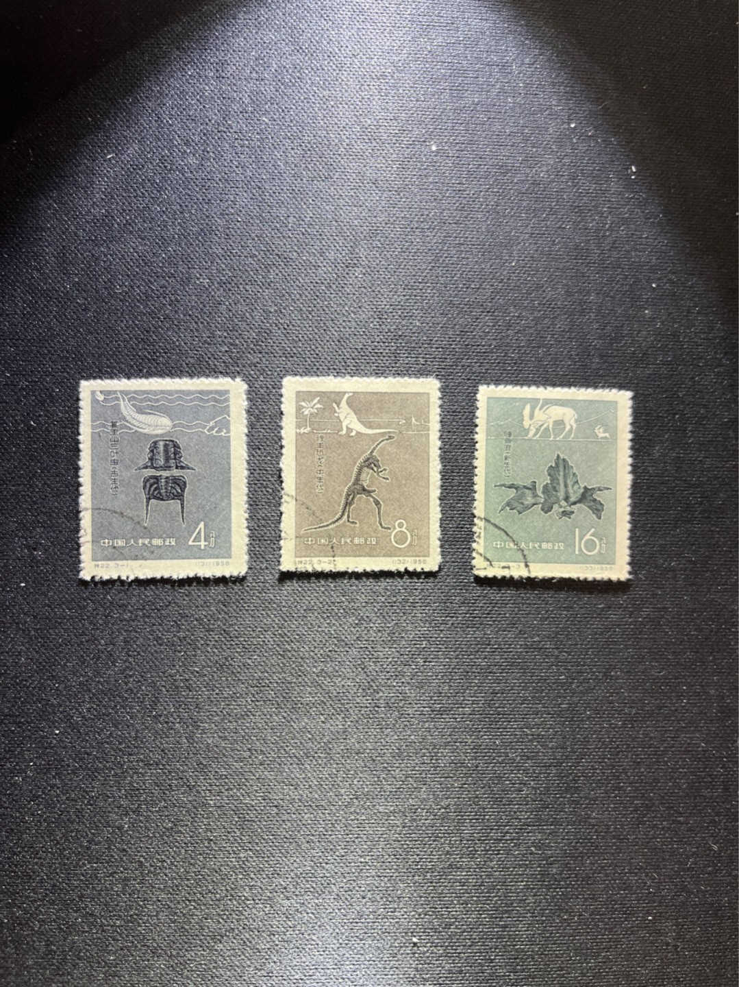 洪涛臻品 精选邮票限时拍卖第五十六期 特22古生物 盖销上品 顺戳  面艳背白票挺