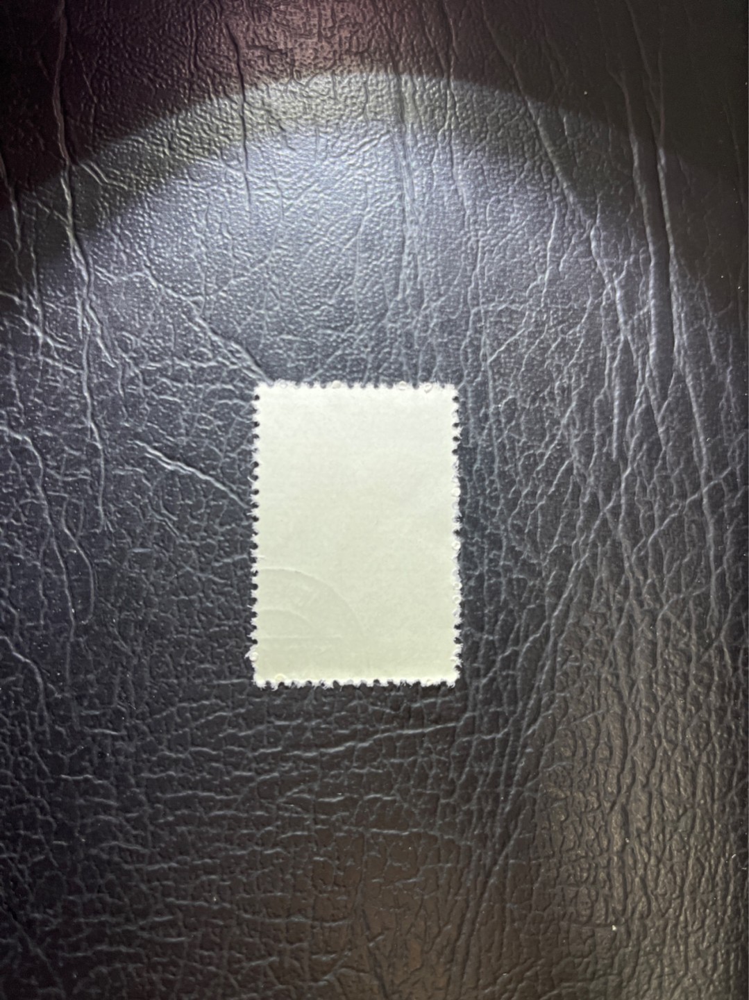 洪涛臻品 精选邮票限时拍卖第五十四期 特56蝴蝶盖销  20-8一枚，版撕全品嘎嘎绝，钢戳，面艳胶白，六珍之一，非常受欢迎的品种，新票价格高，盖销全品不要错过